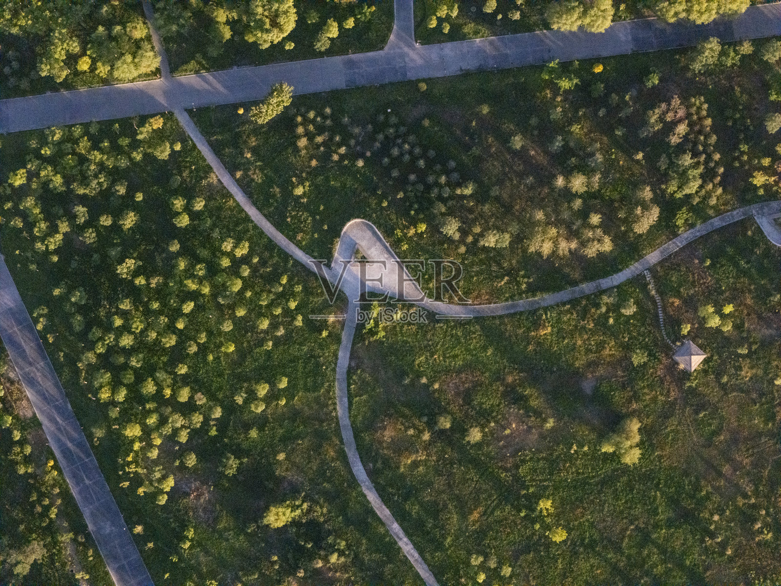 绿色森林小径的鸟瞰图照片摄影图片