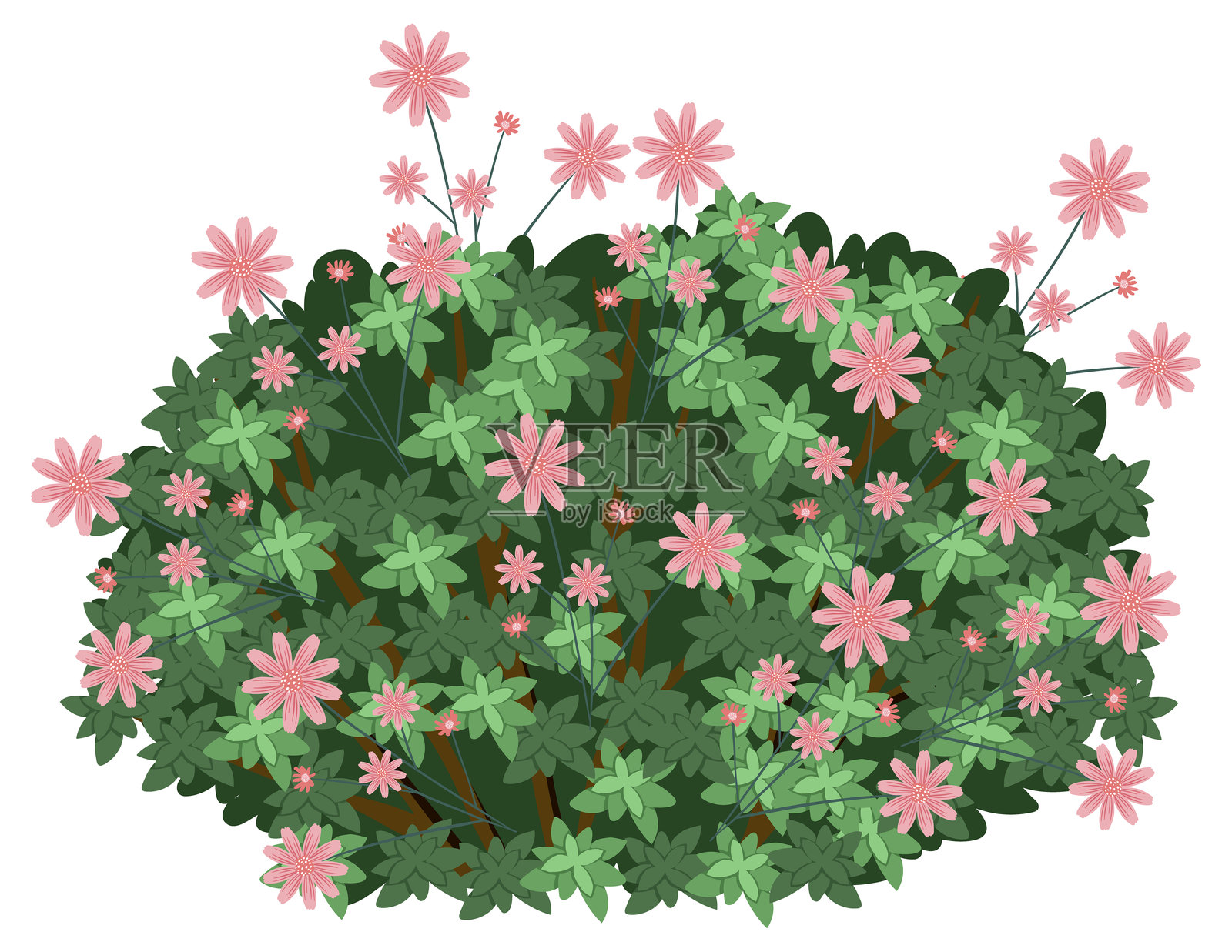 生动花园的矢量插图，盛开着粉色花朵和郁郁葱葱的绿叶，展现出和谐的色彩搭配插画图片素材