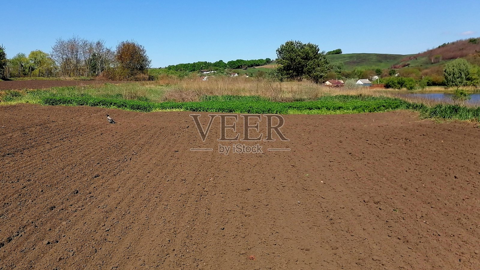 耕耘的田野。大地的气息照片摄影图片