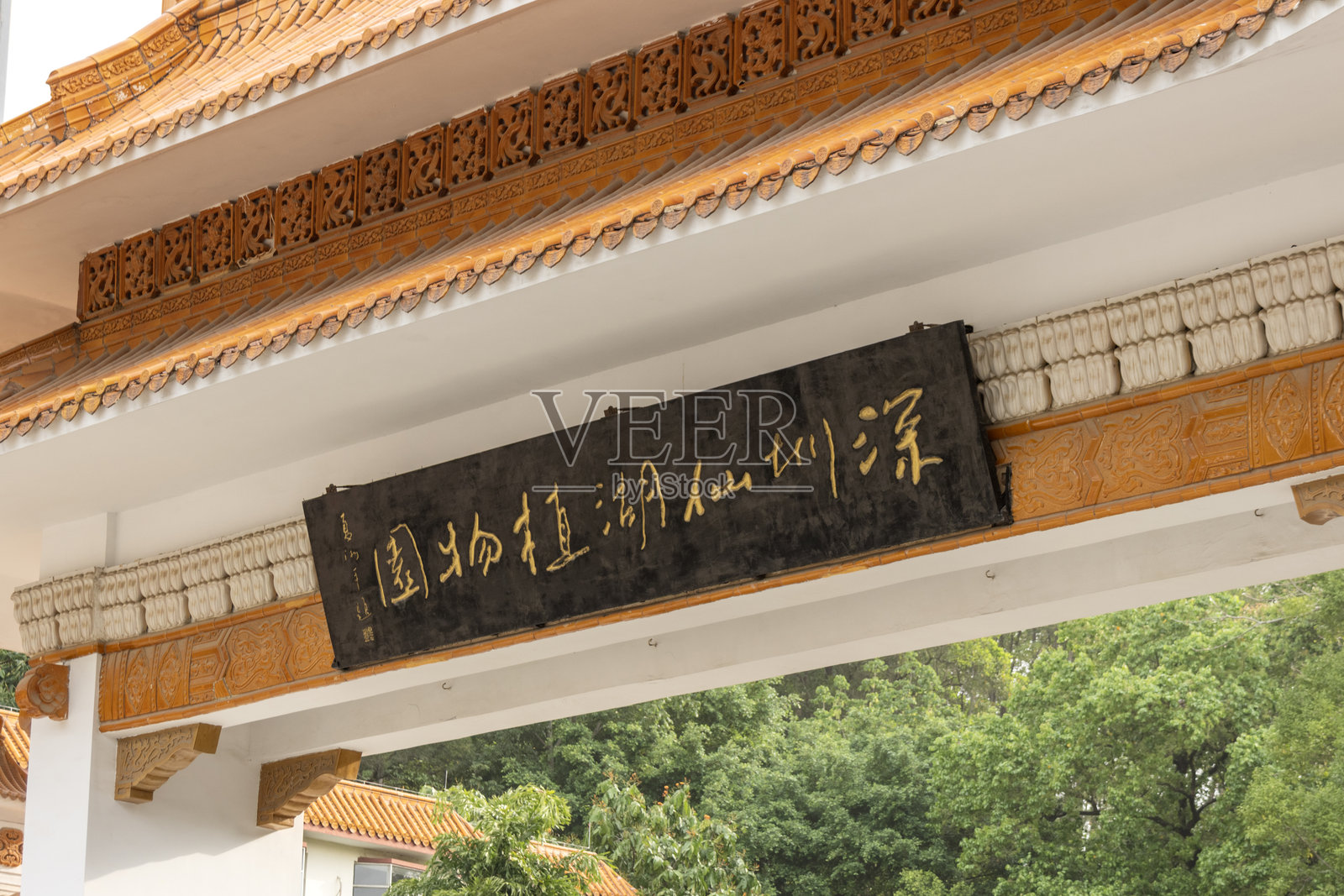 中国深圳仙湖植物园的美丽景观照片摄影图片