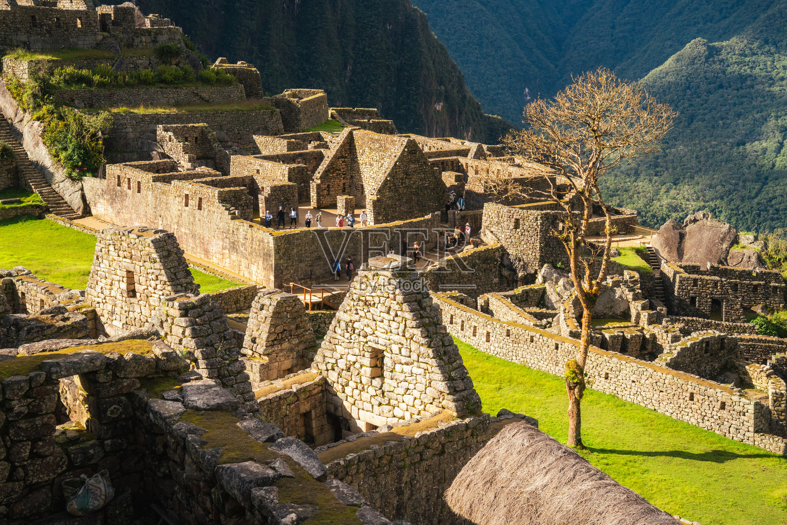 马丘比丘的照片，古代考古遗址和联合国教科文组织世界遗产。秘鲁旅行目的地和标志性景点的照片。照片摄影图片