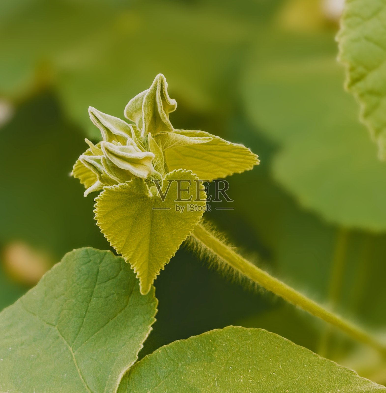 新生活照片摄影图片