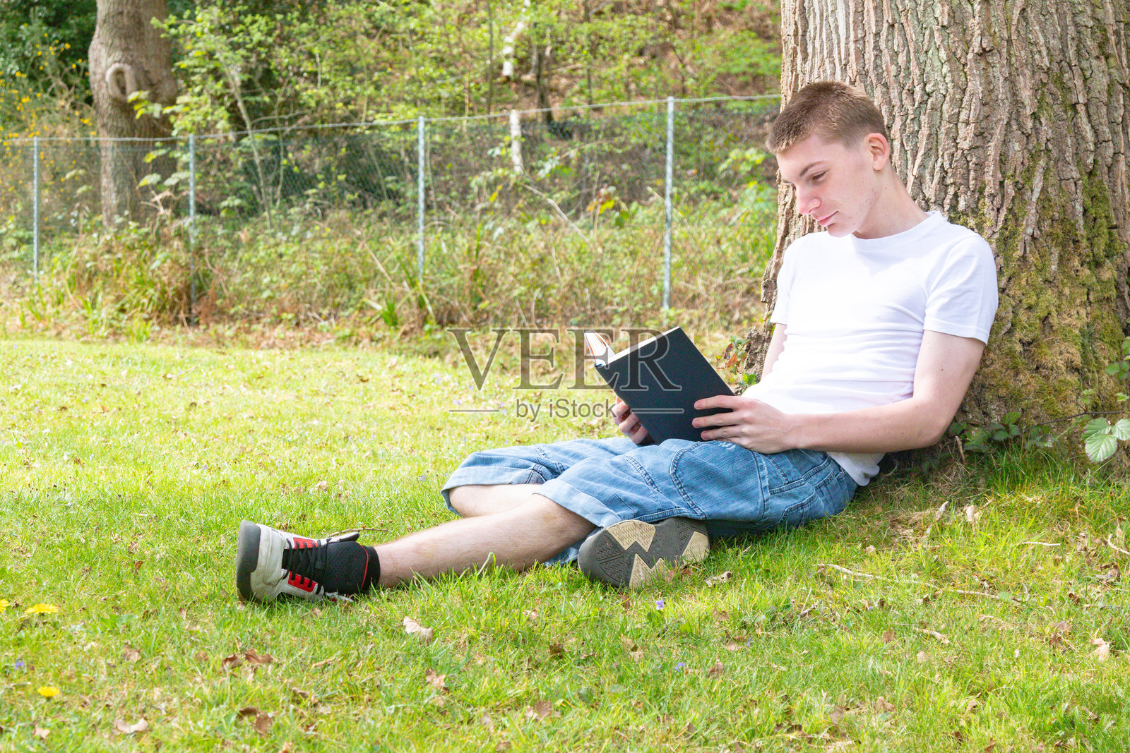 户外阅读的少年男孩照片摄影图片