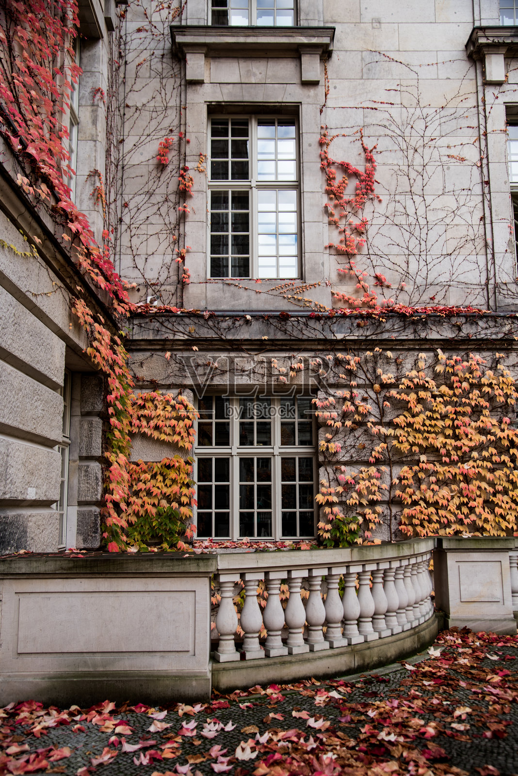 被常春藤和秋叶环绕的旧窗户照片摄影图片