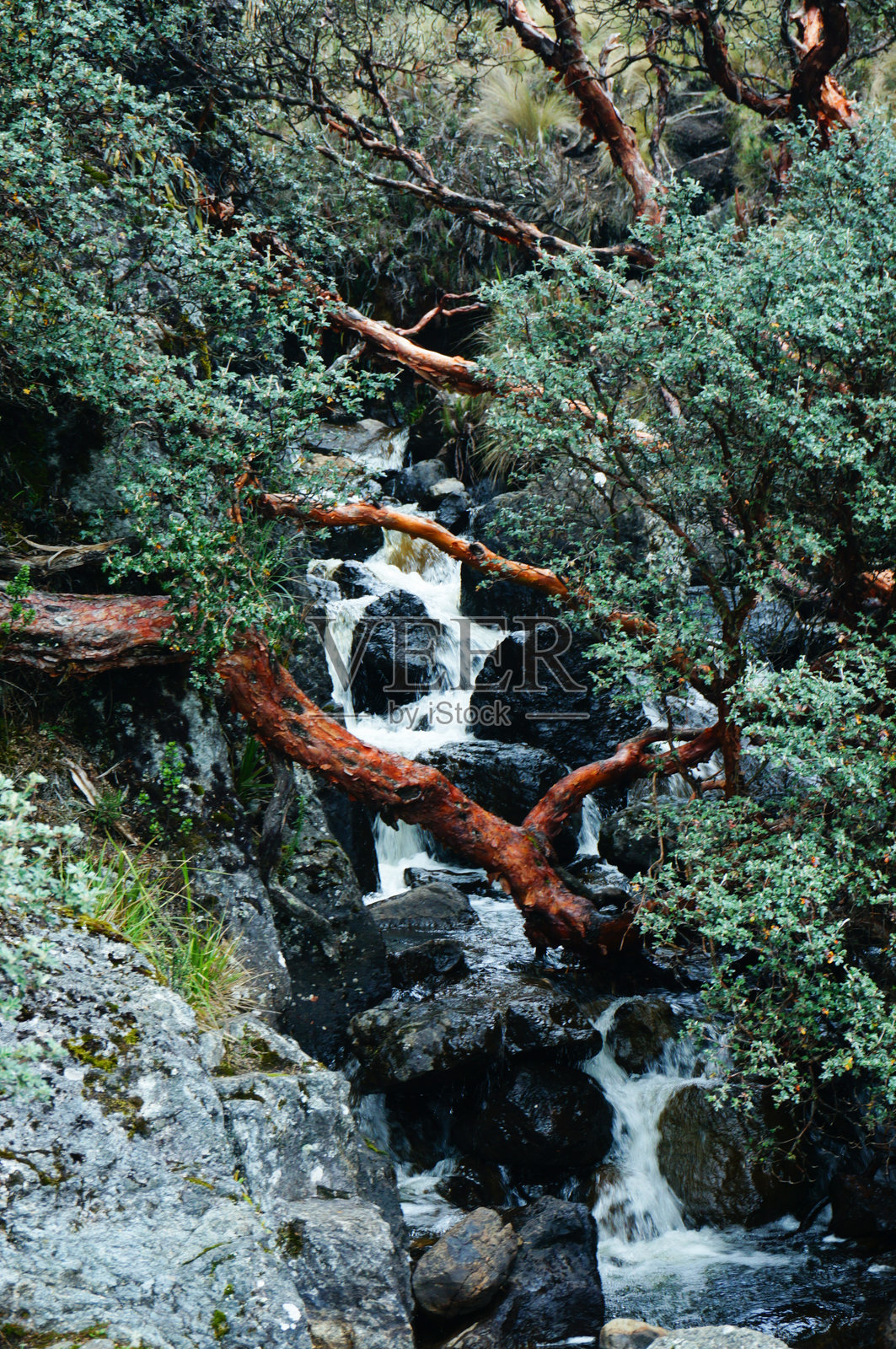 一股水流从岩石山坡上流下照片摄影图片