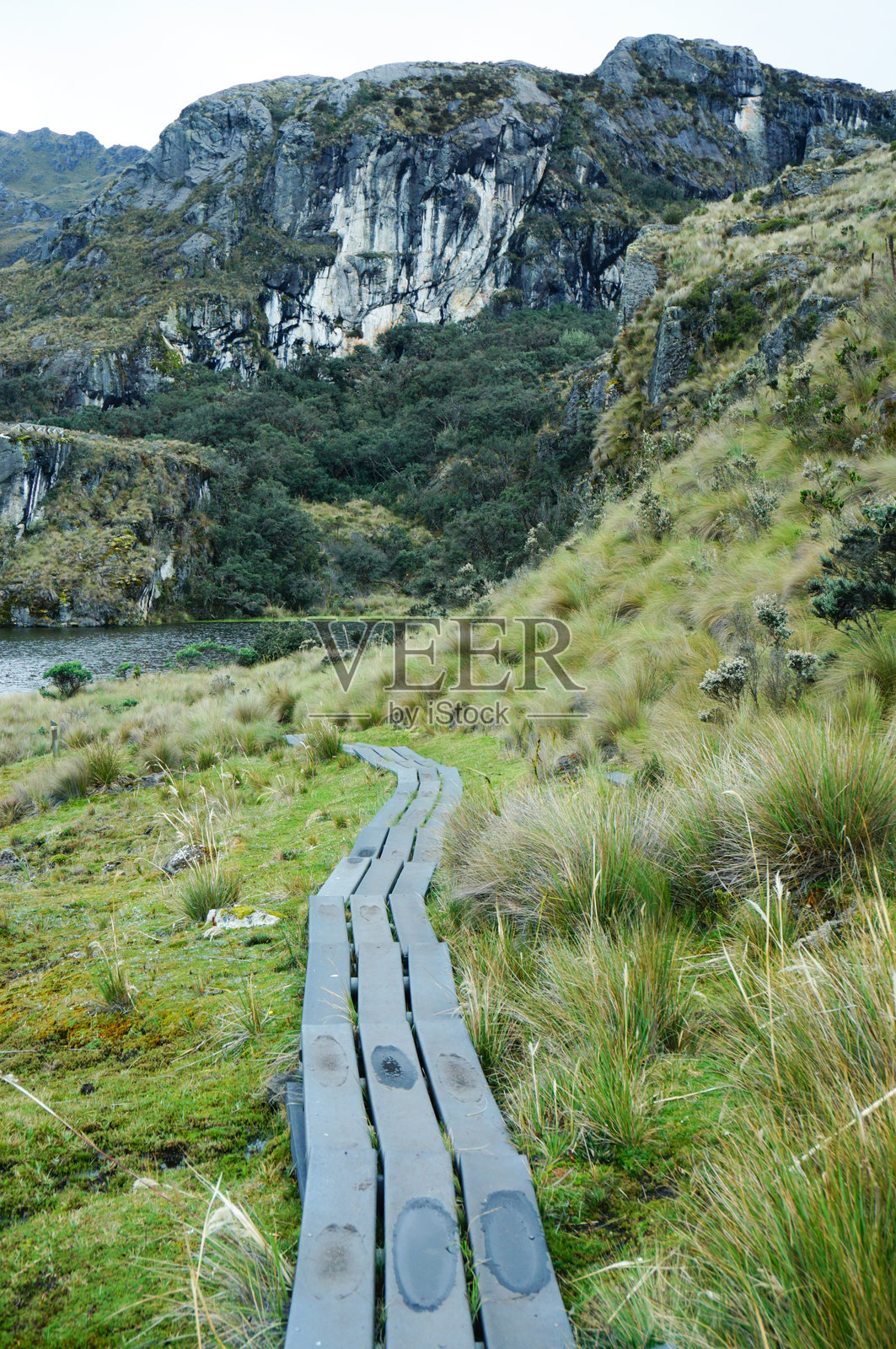 前景中展示了一条通往山脉的小径照片摄影图片