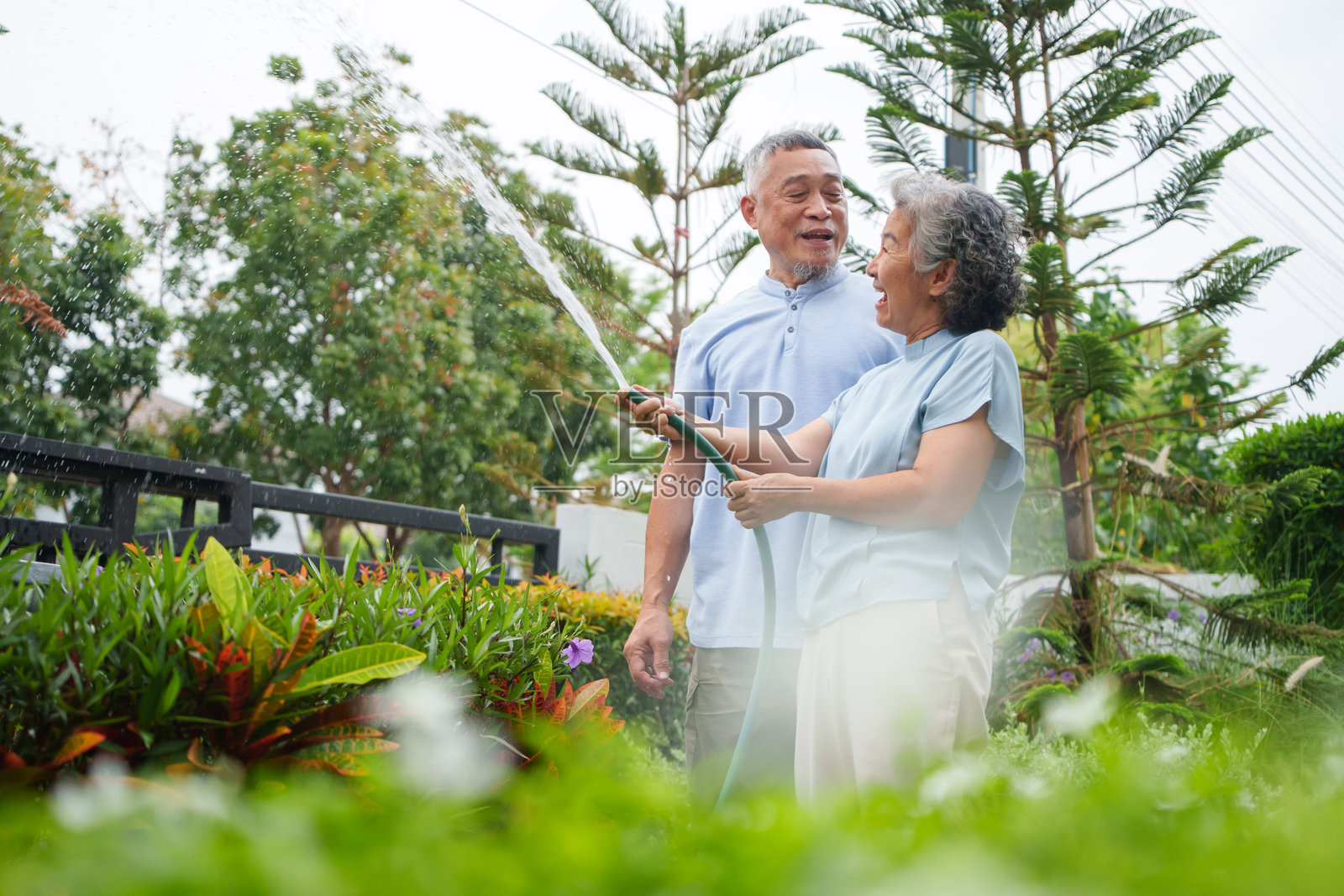 快乐的亚洲老年夫妇在浇灌花园，互相分享微笑。照片摄影图片