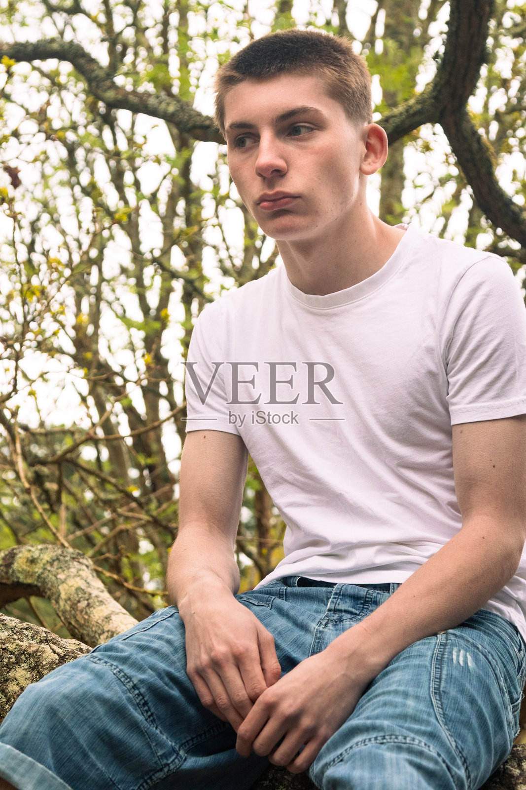 树上的少年照片摄影图片