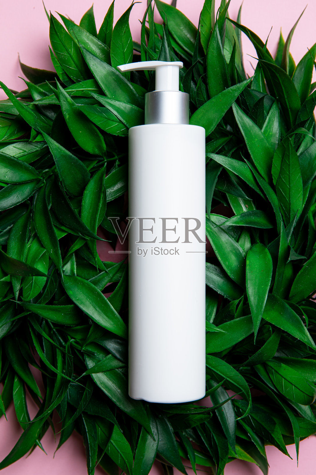 简约护肤瓶与生机勃勃的绿色植物背景照片摄影图片