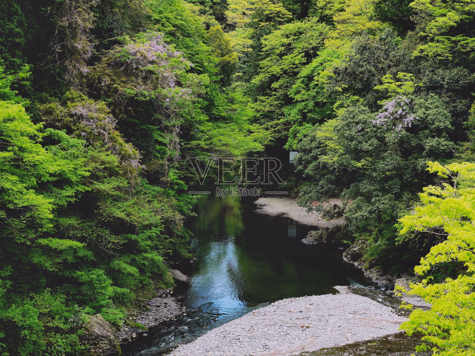 东京奥多摩的氷川谷，初夏时节照片摄影图片