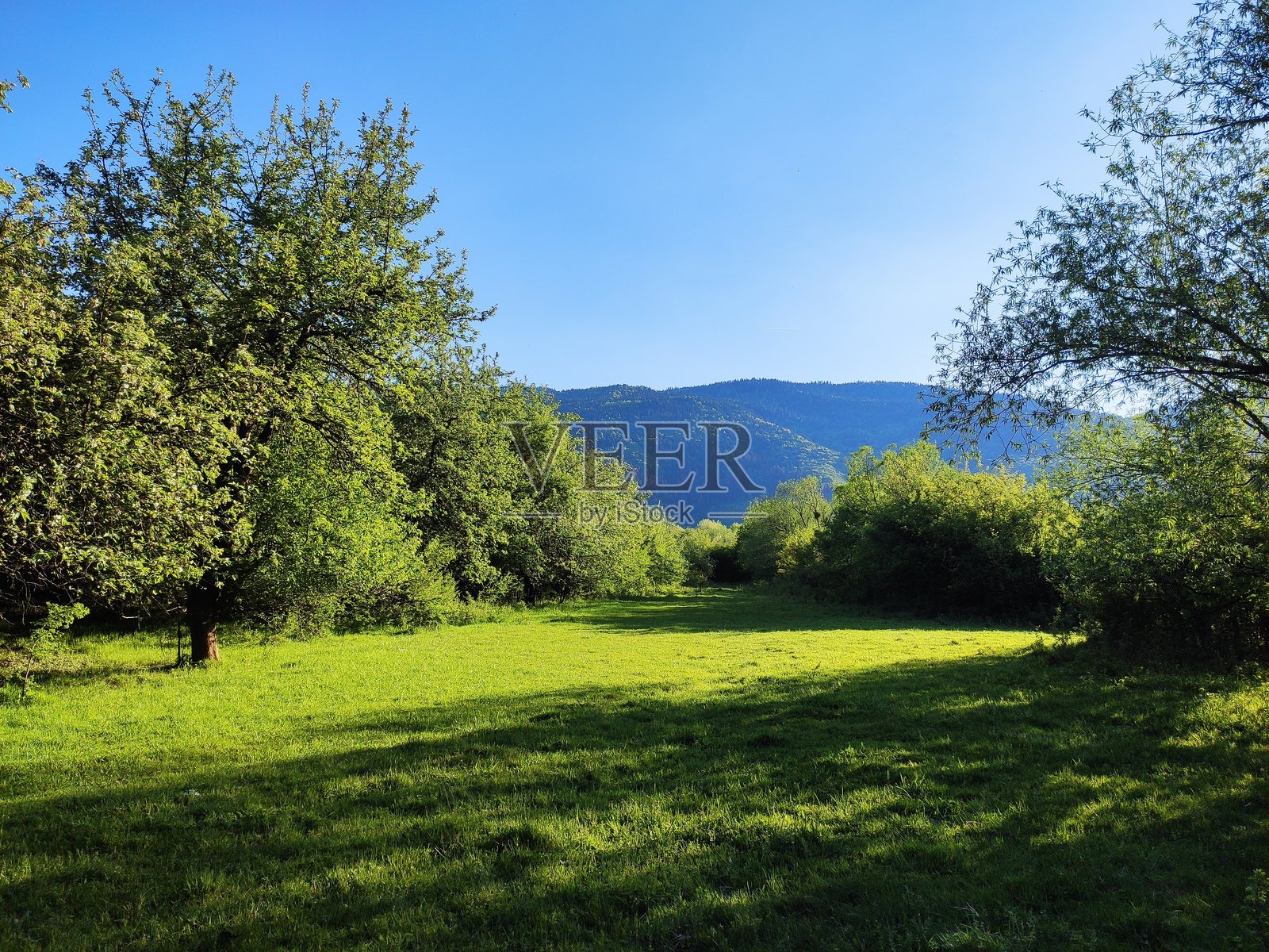 自然的色彩。照片摄影图片