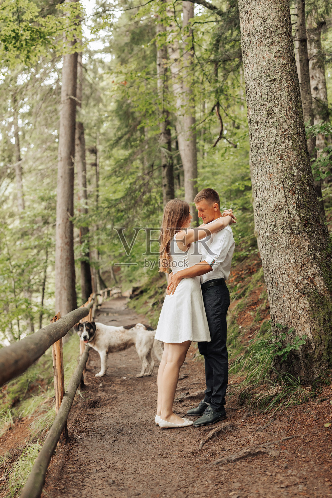 一对情侣在森林中拥抱，背景有一只狗。照片摄影图片