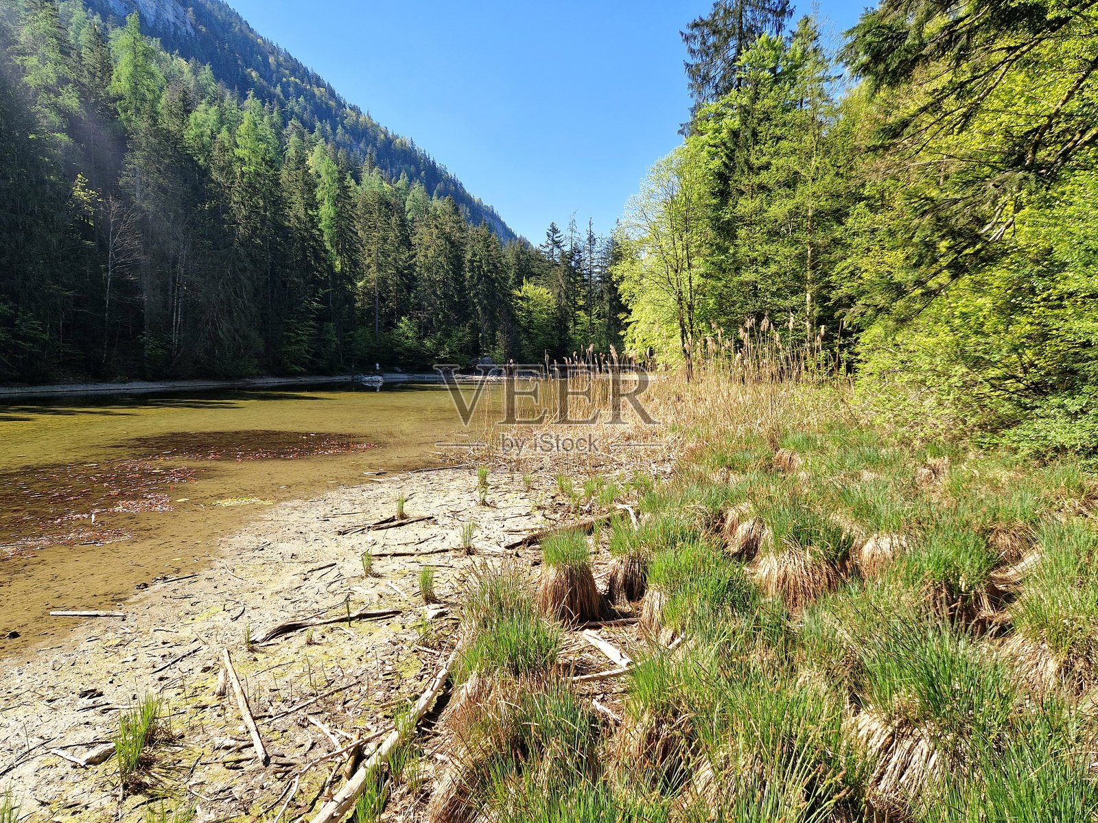 鲁普霍尔丁 - 巴伐利亚 - 陶本湖照片摄影图片