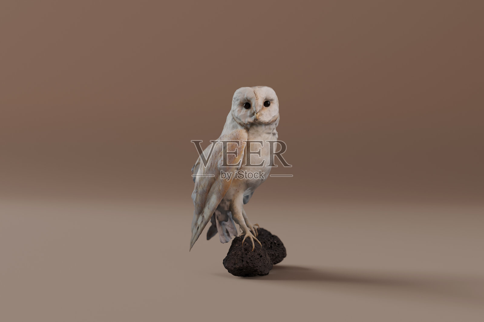 白色 barn owl 站在熔岩石上，3D 渲染。照片摄影图片
