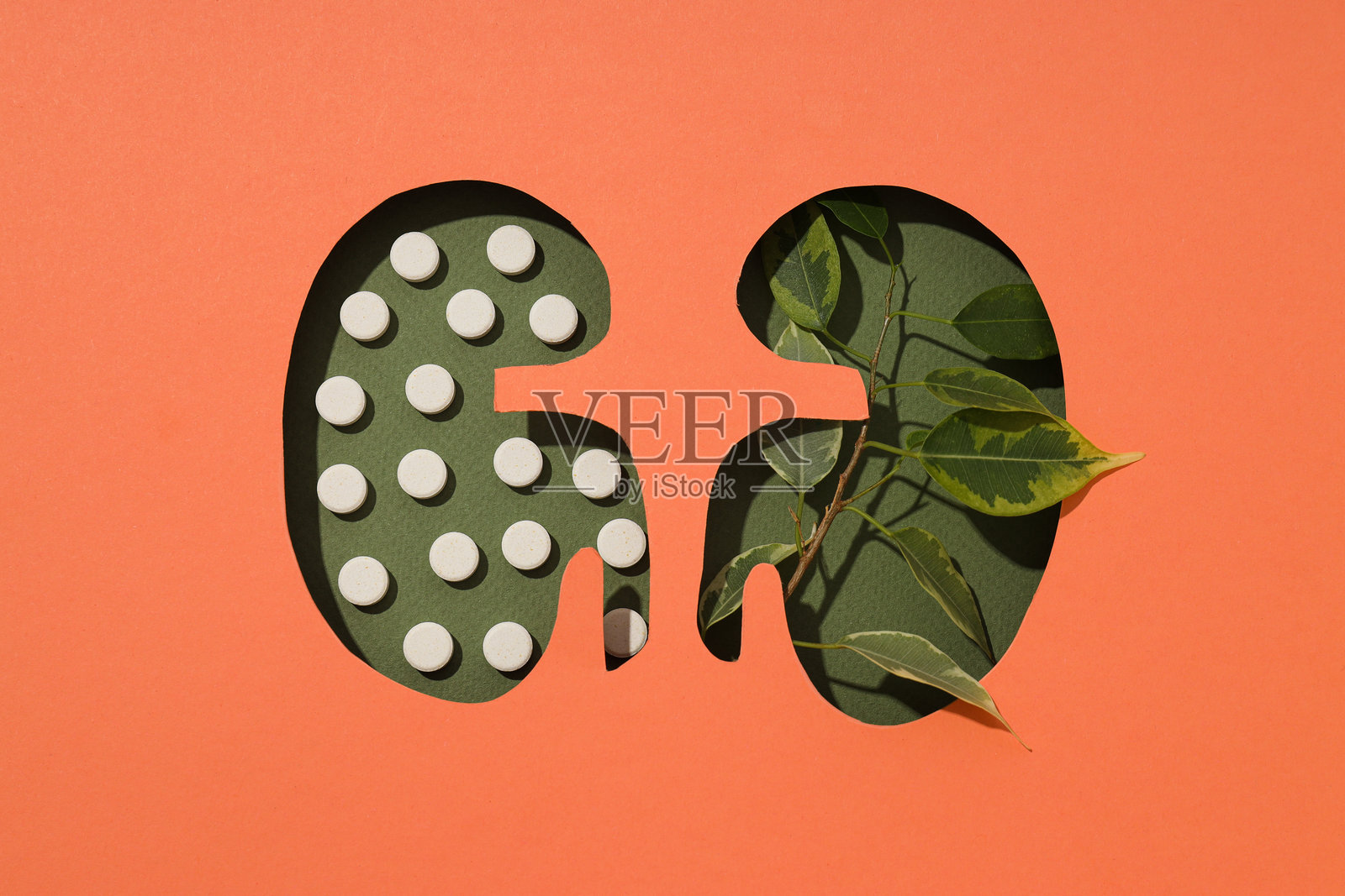 为国家肾脏月，桃色背景上的剪纸肾脏。照片摄影图片