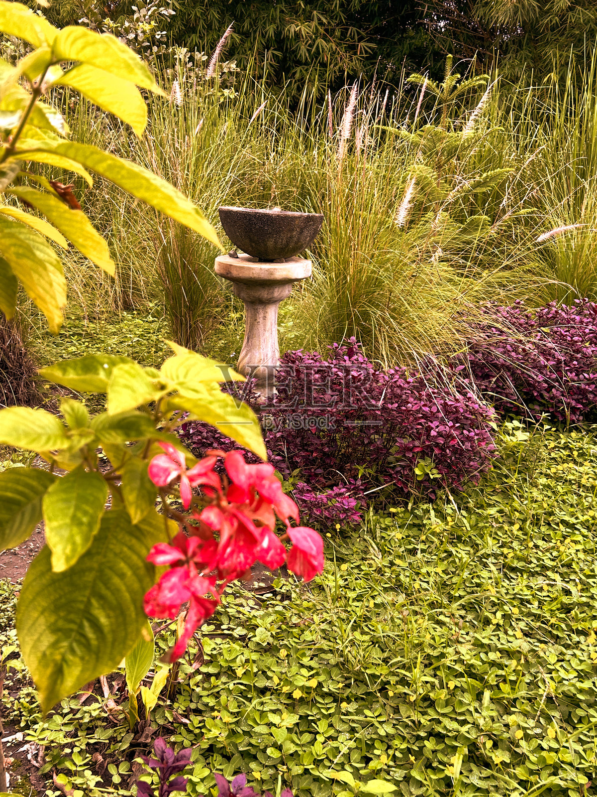 自然角落照片摄影图片