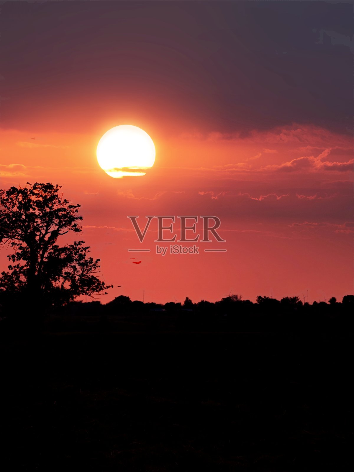 “泰国乡村的干旱季节农田”照片摄影图片