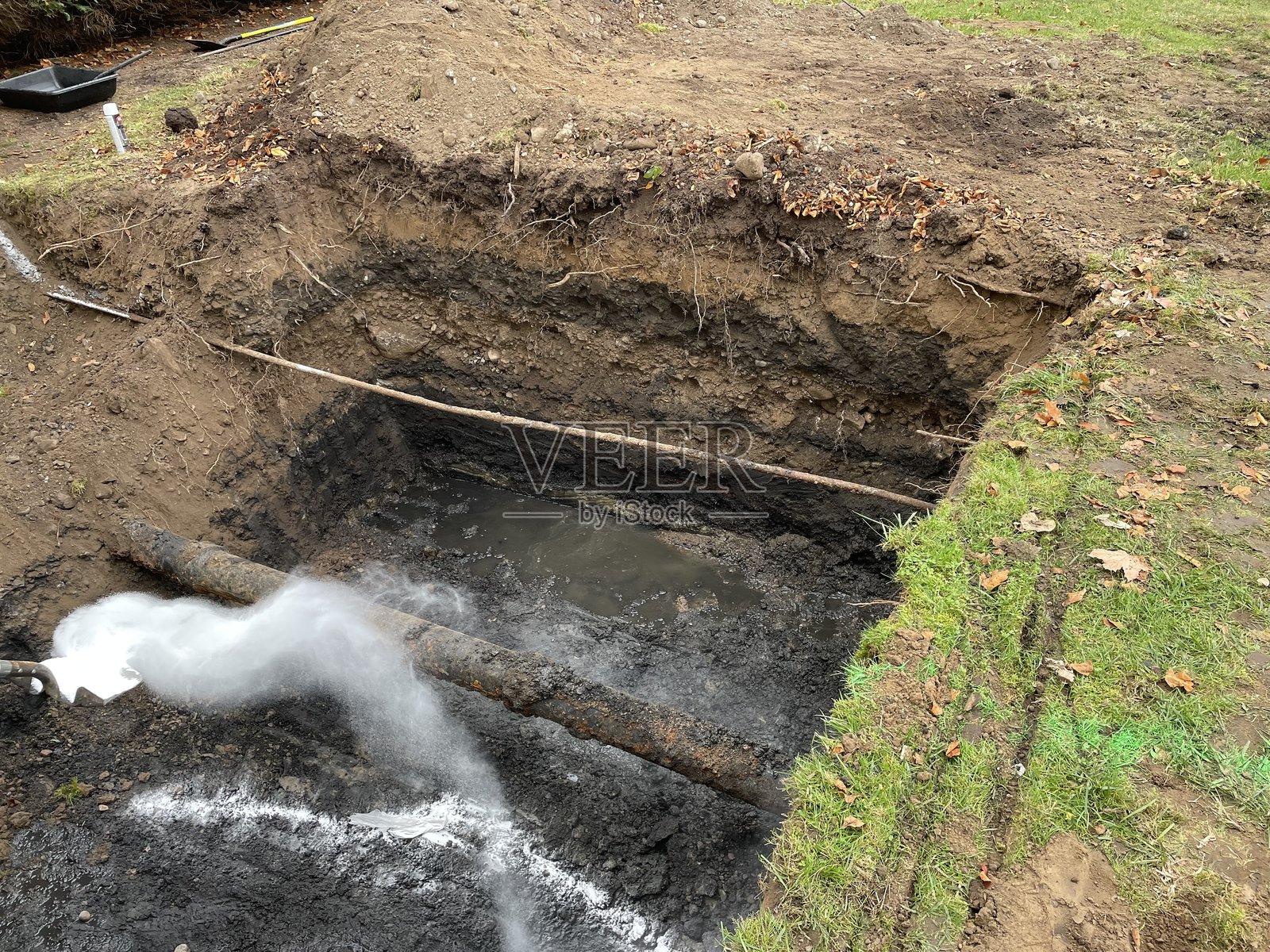 浅的照片摄影图片