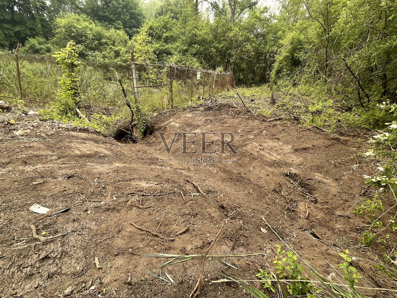 压制照片摄影图片