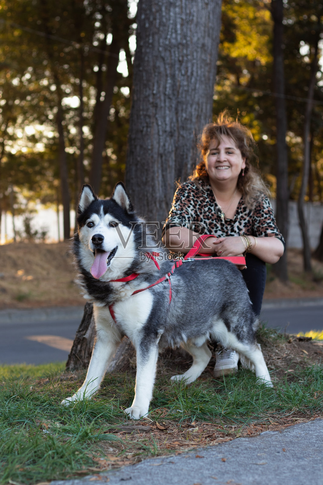 快乐的女人在大自然中与她的哈士奇狗散步照片摄影图片