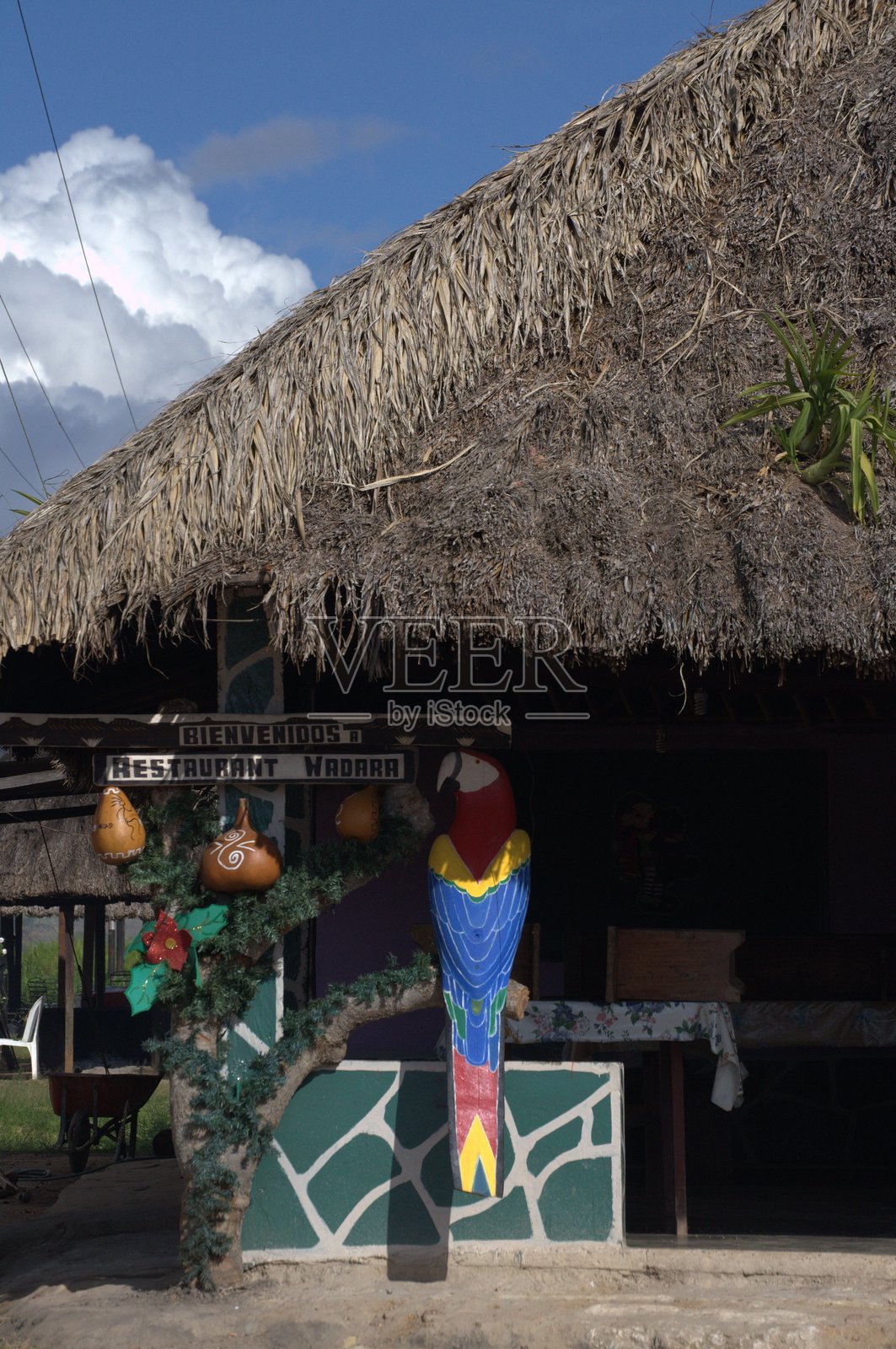 博利瓦尔州的房屋及其建筑风格。照片摄影图片