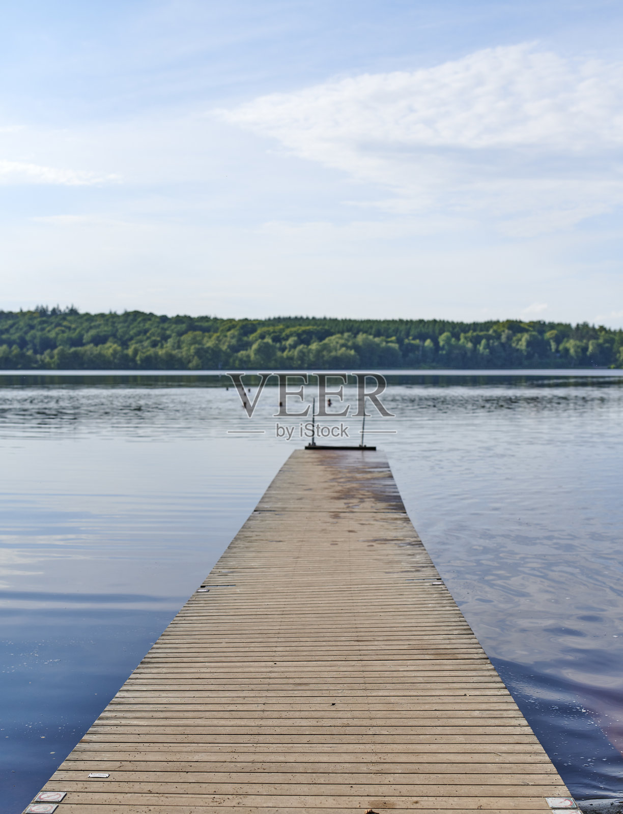 丹麦宁静湖泊上延伸的木栈道与美丽的绿植照片摄影图片