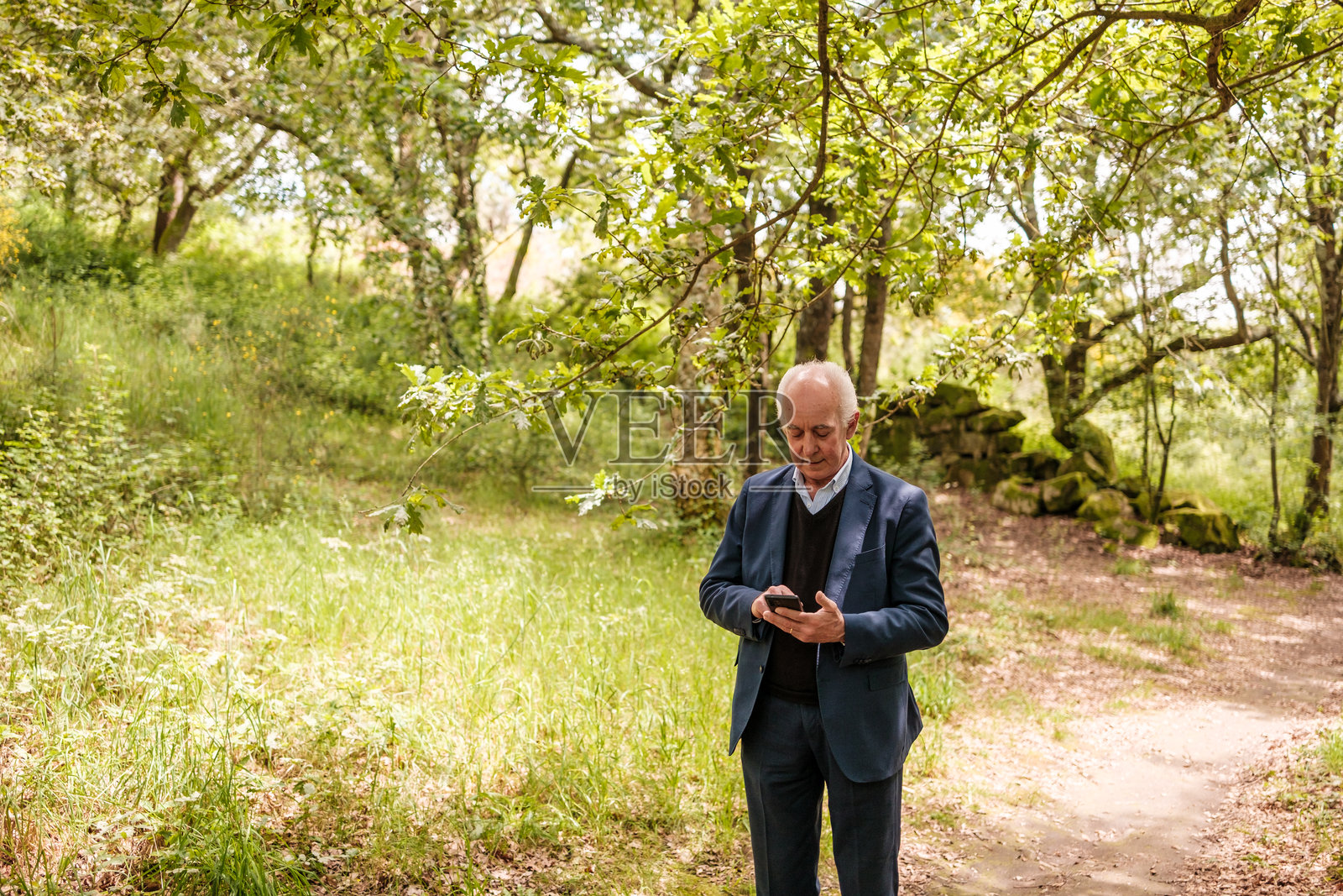 在公园里使用智能手机的资深商人照片摄影图片