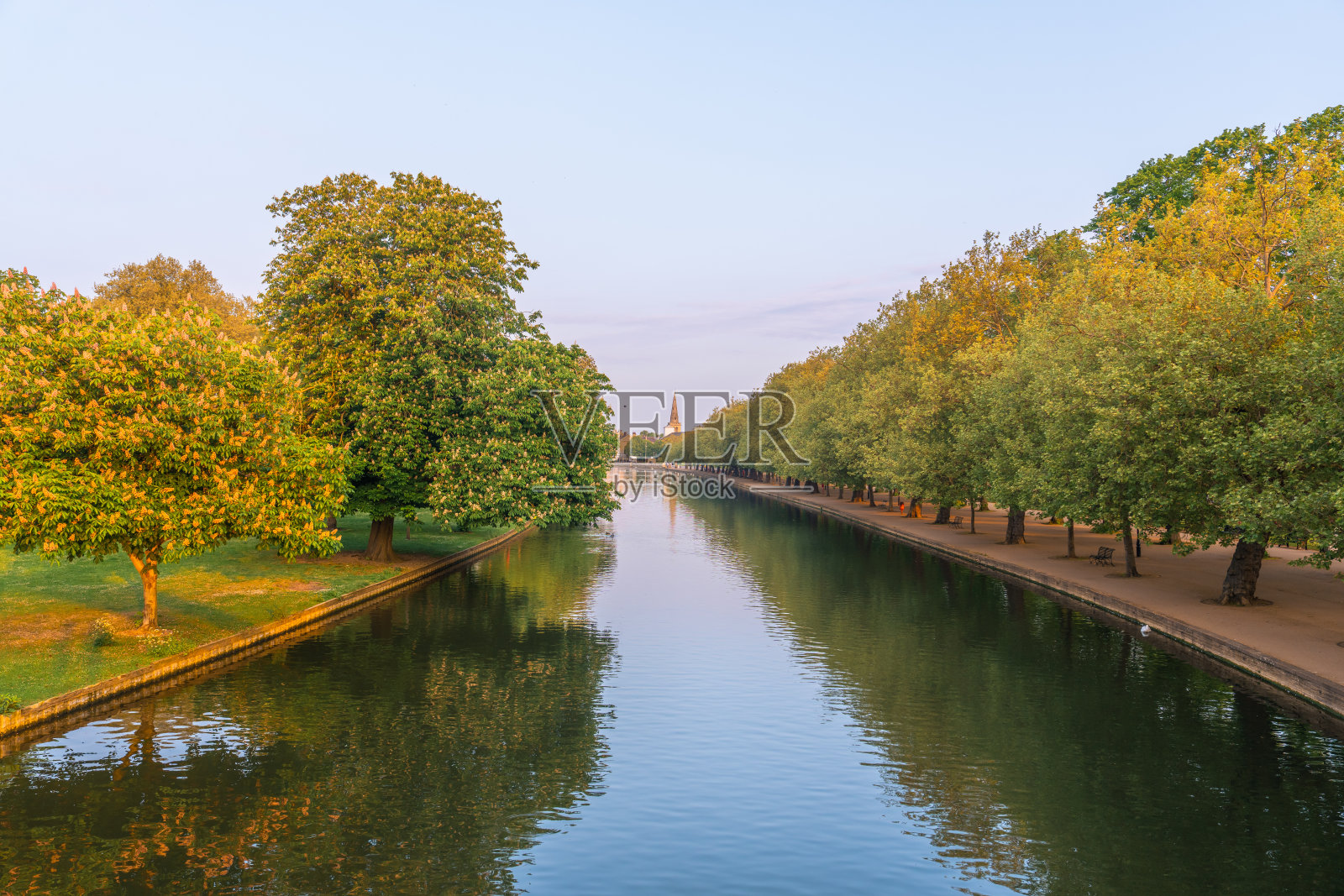 贝德福德的格雷特乌斯河在黎明时分流经郁郁葱葱的绿堤。照片摄影图片