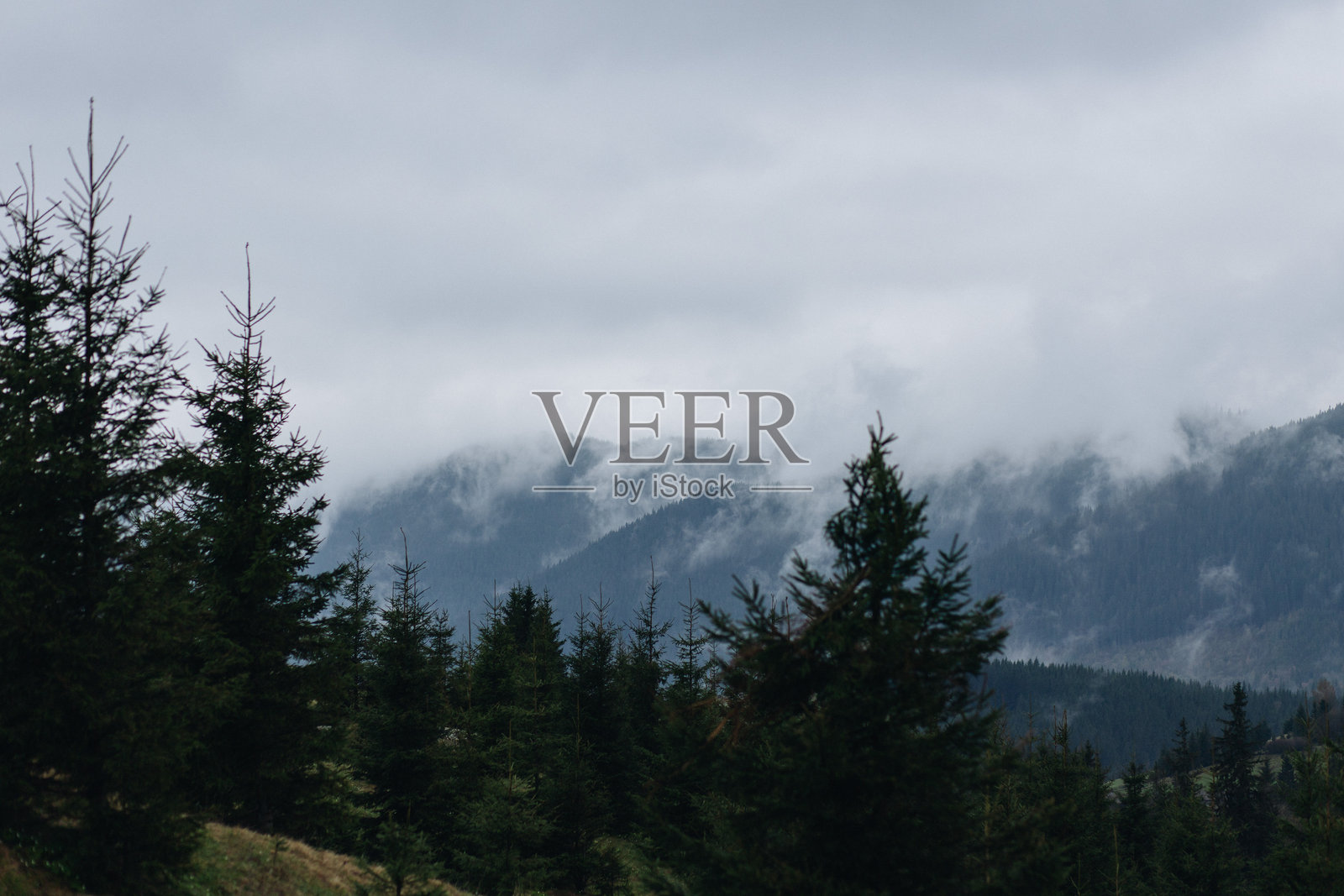 春季雾霭缭绕的山脉美景 - 宁静的风景与被雾覆盖的山峰照片摄影图片