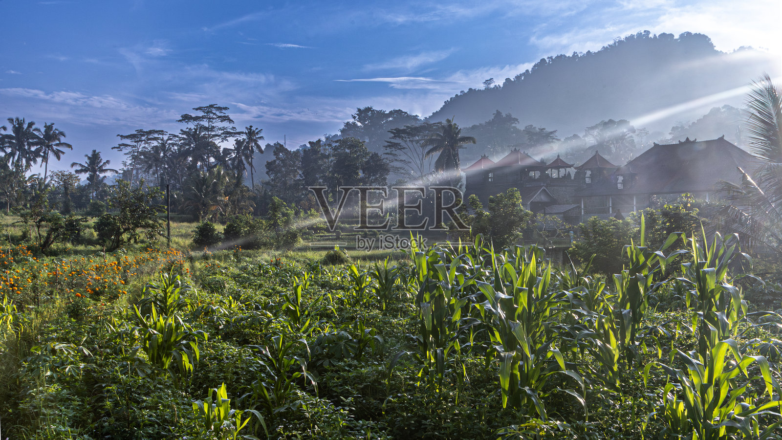 印度尼西亚巴厘岛卡朗阿森区的西德门谷。照片摄影图片