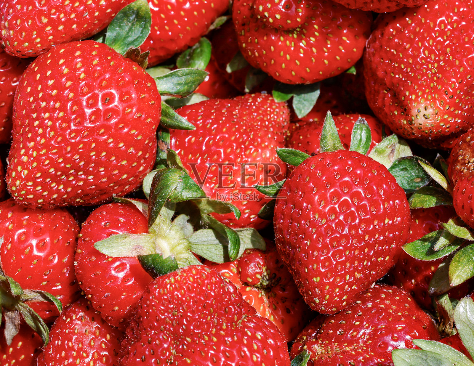 饱满多汁的草莓照片摄影图片