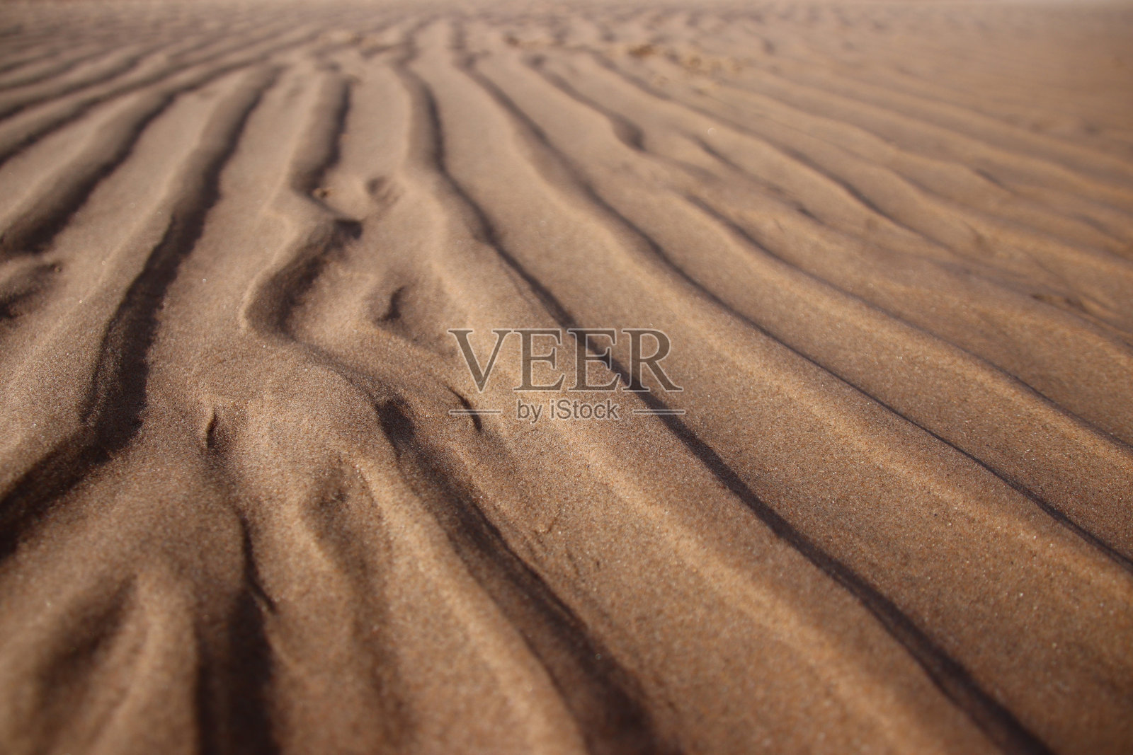 沙中的图案照片摄影图片