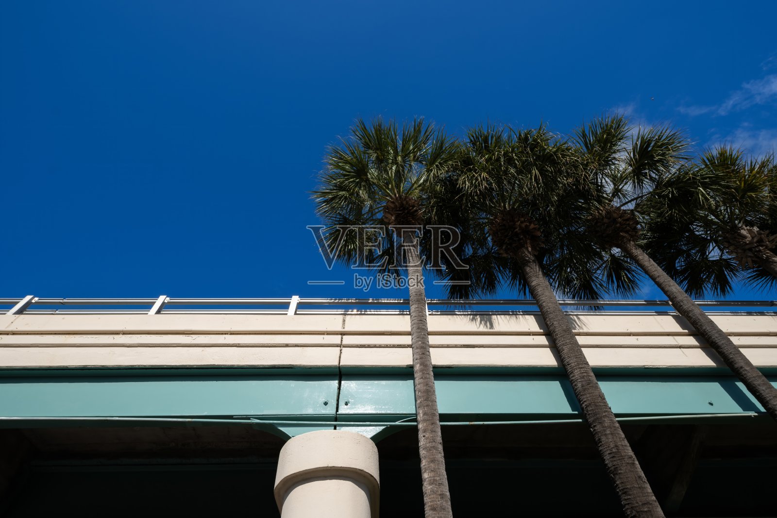 棕榈树与高速公路立交桥照片摄影图片