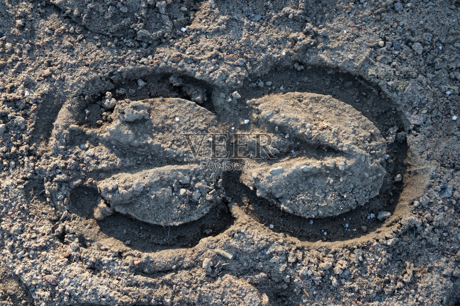 冰冻地面上的马蹄印照片摄影图片