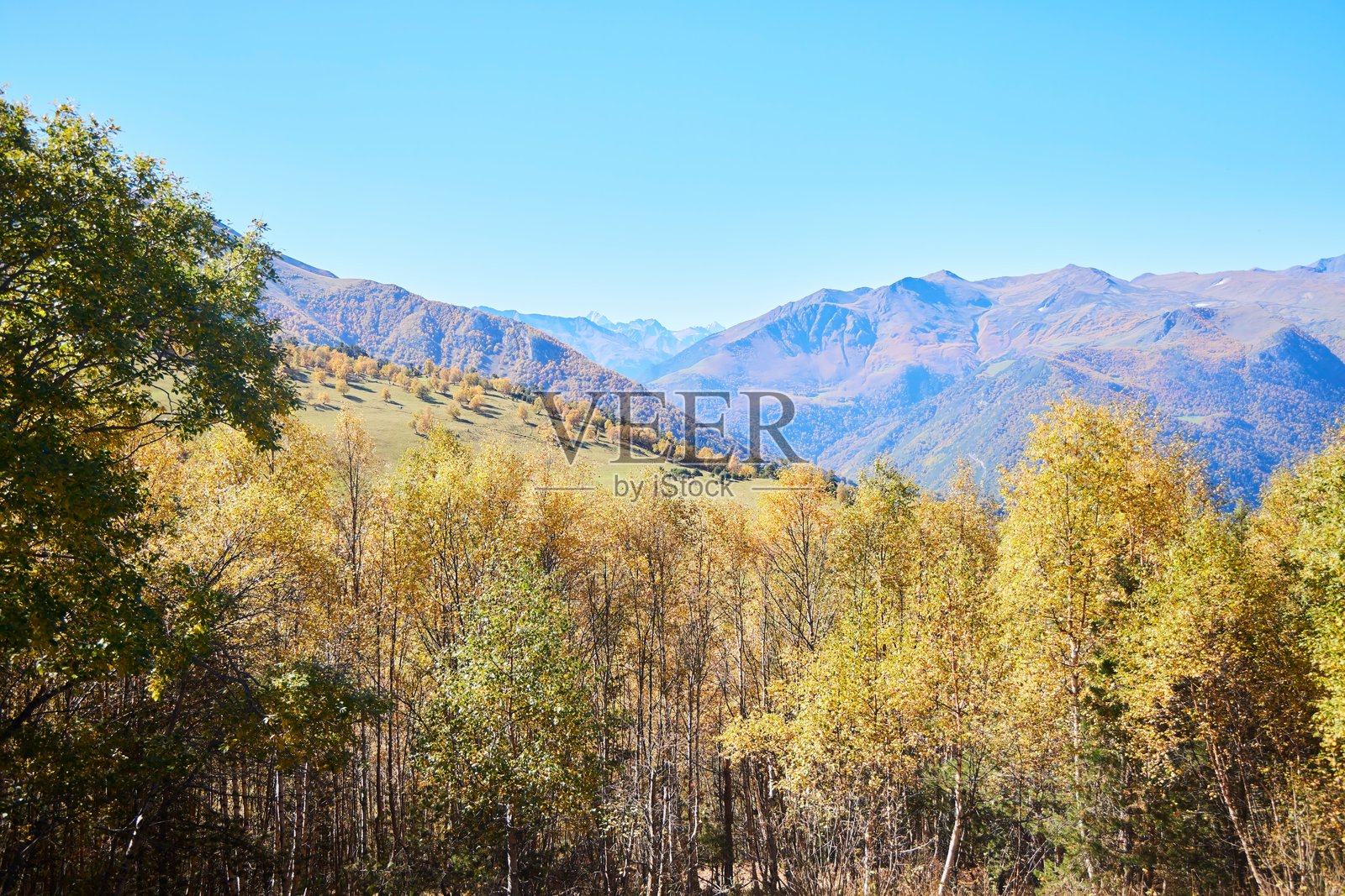 秋天的山林。树上的黄色和橙色树叶。美丽的风景照片摄影图片