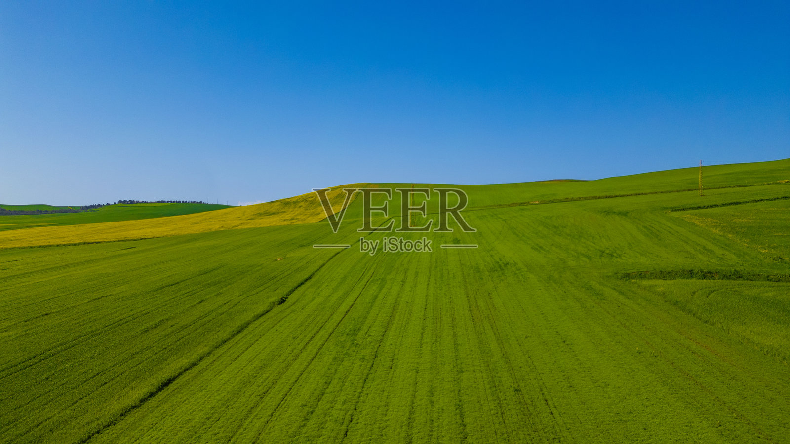 普利亚州斯皮纳佐拉的21拱桥 – 绿色田野下的历史铁路高架桥，蓝天映衬。意大利乡村建筑，春季风景。照片摄影图片