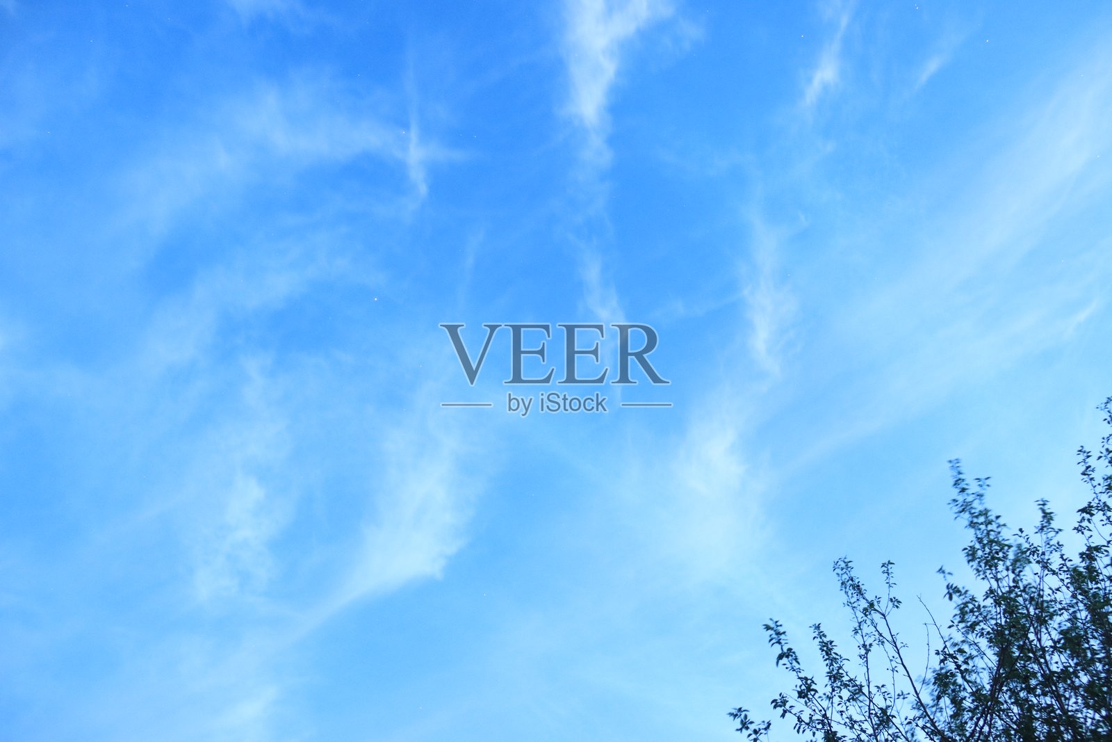 暴风雨与花朵交织的山谷风景照片摄影图片