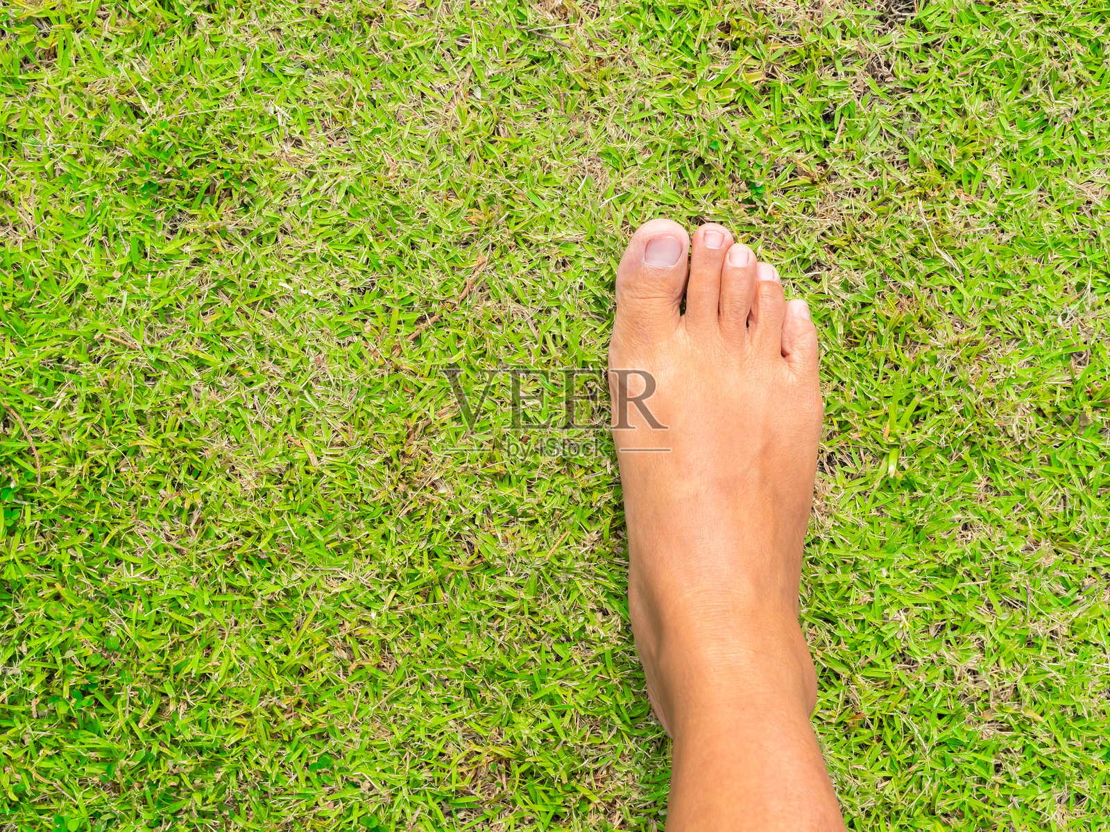 赤脚踩在绿草上照片摄影图片