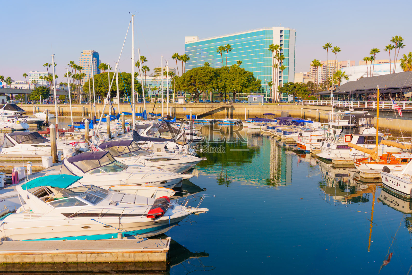 海滨风光，豪华游艇停靠在长滩凯悦酒店附近照片摄影图片