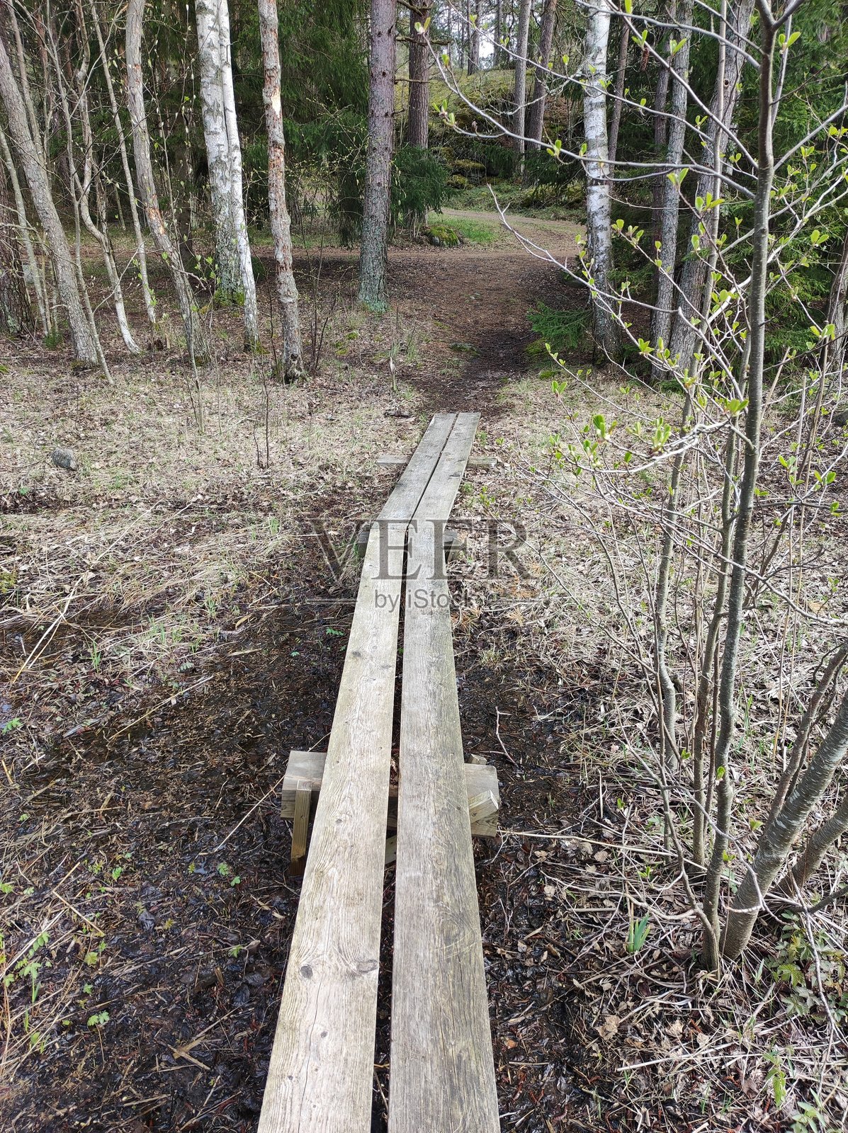 木制人行桥横跨沼泽照片摄影图片