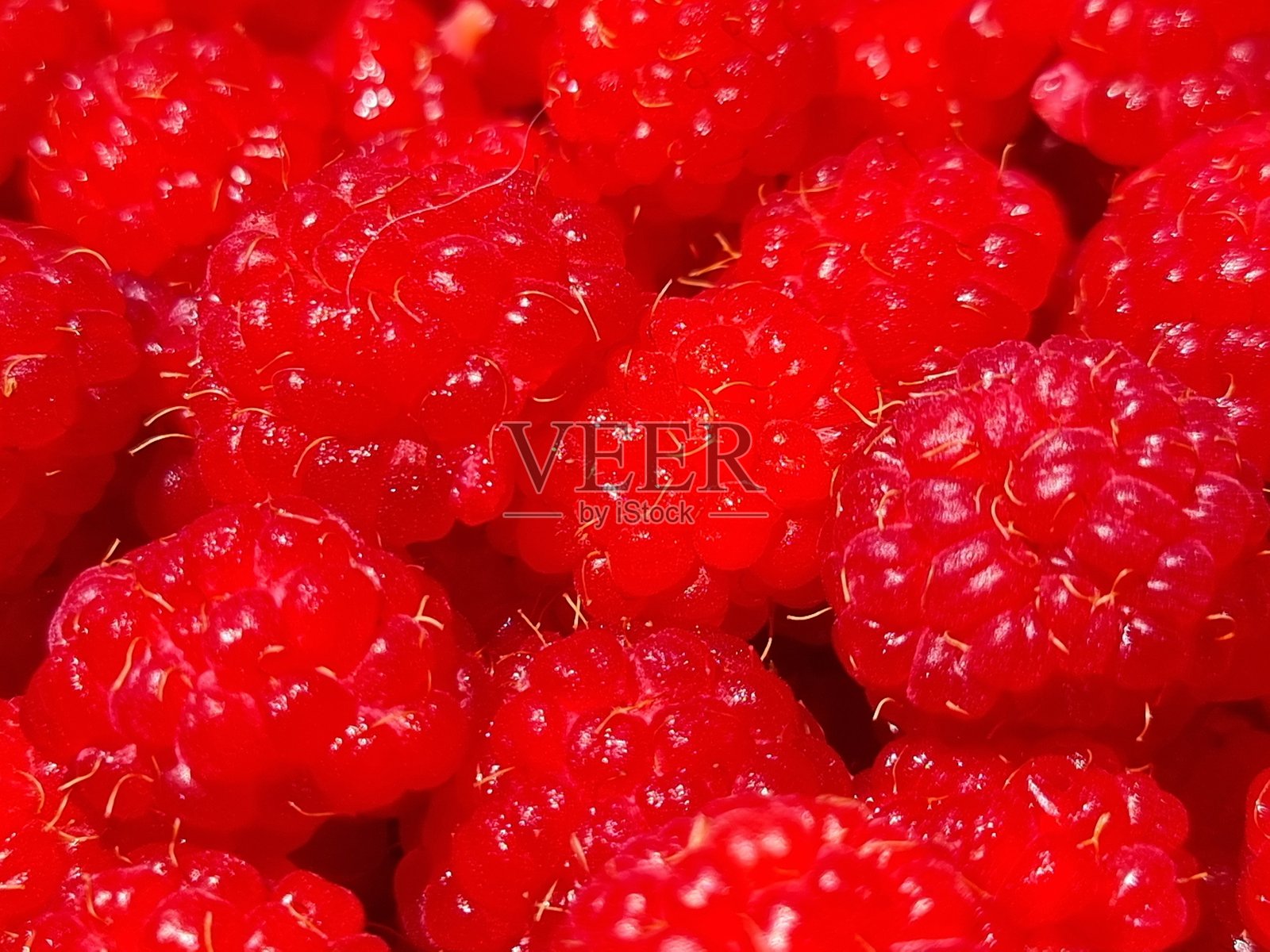 红色成熟的覆盆子在背景上照片摄影图片