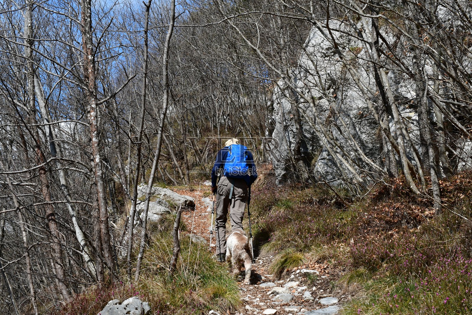 男子与他的拉戈托·罗马涅犬在特伦蒂诺的莱德罗湖附近徒步旅行照片摄影图片