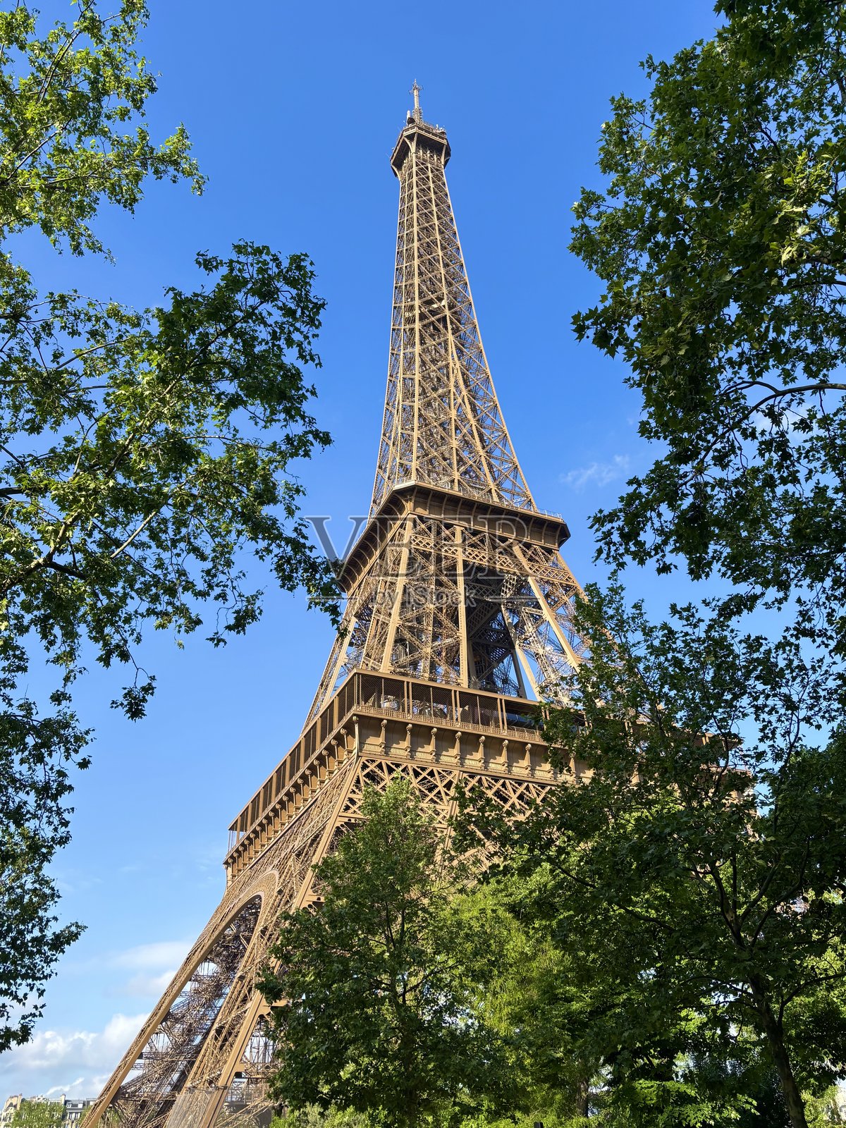 巴黎的埃菲尔铁塔照片摄影图片