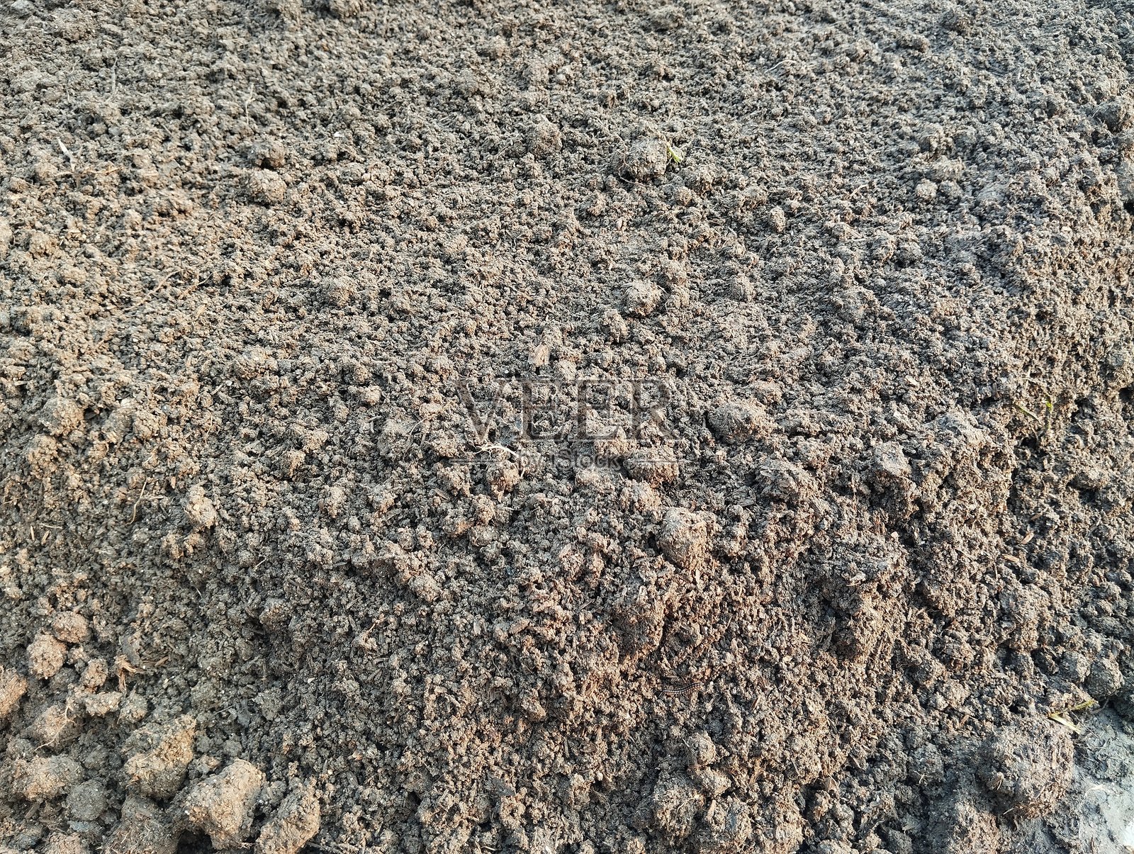 肥沃土地表面的特写，适合种植。照片摄影图片