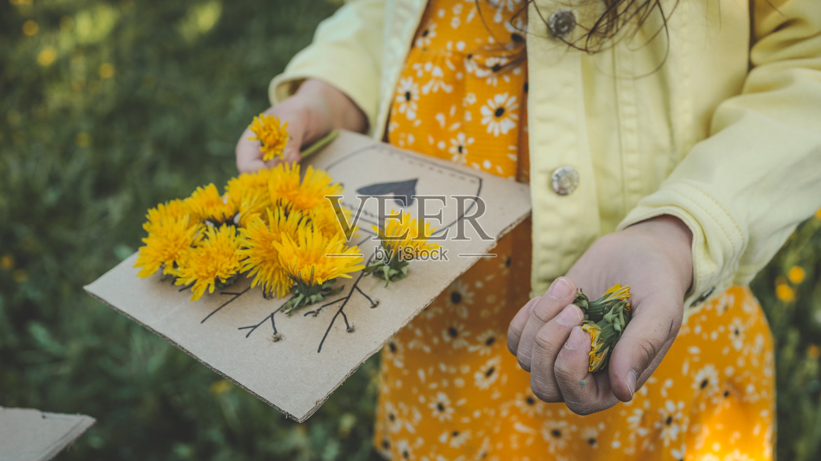 女孩手持用新鲜蒲公英装饰的手工卡片，象征着童年的创造力、春天的自然和真挚的赠礼。照片摄影图片