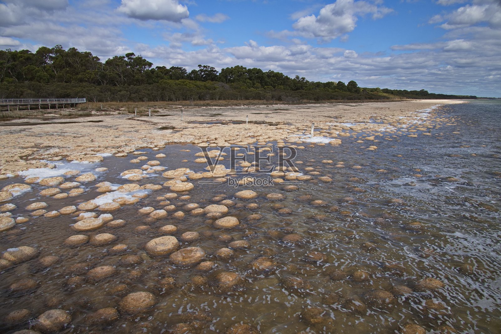 西澳大利亚州曼杜拉南部的亚尔戈鲁普国家公园中的克利夫顿湖石灰岩。照片摄影图片