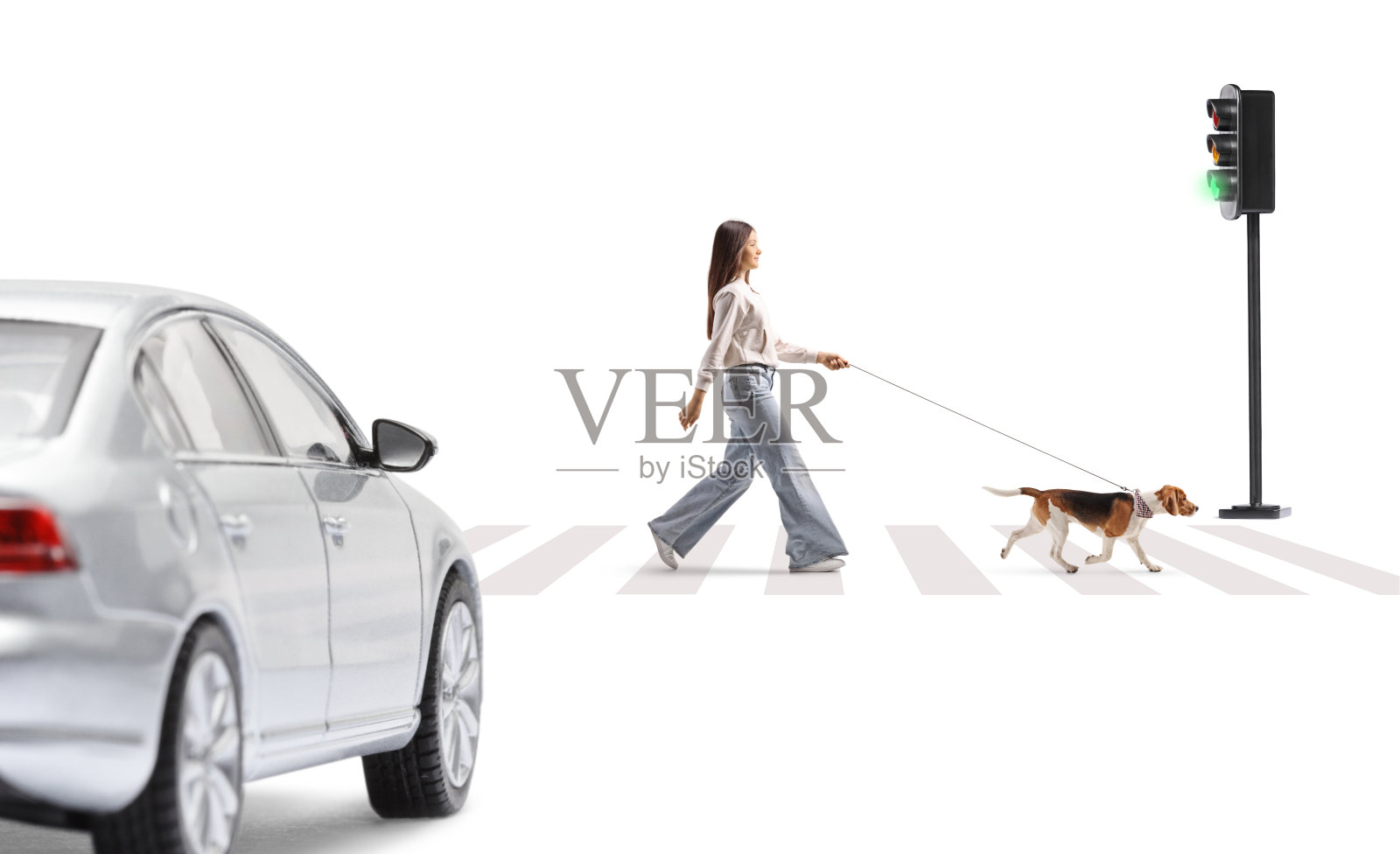 少女牵着一只比格犬过马路照片摄影图片