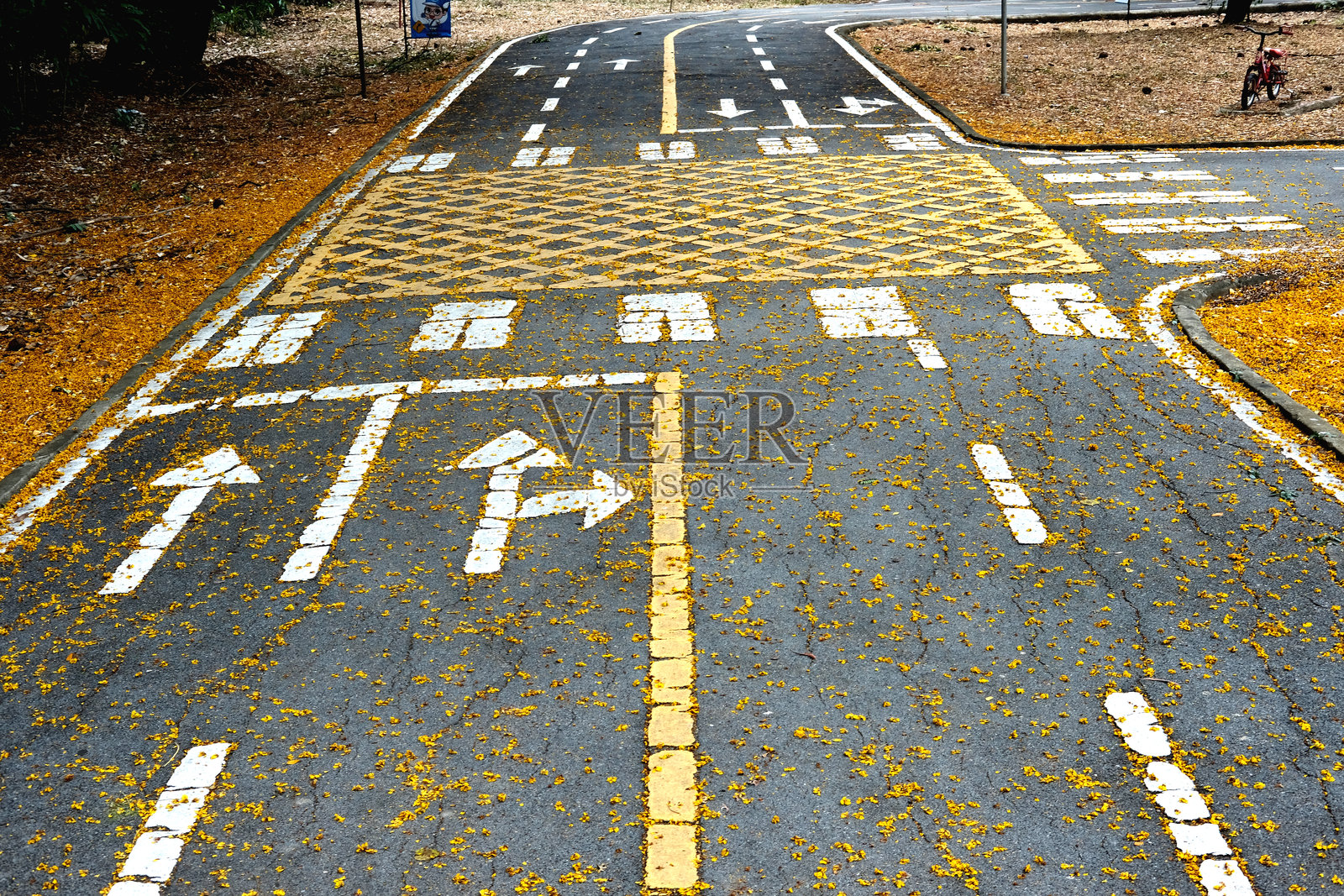 交通标志照片摄影图片