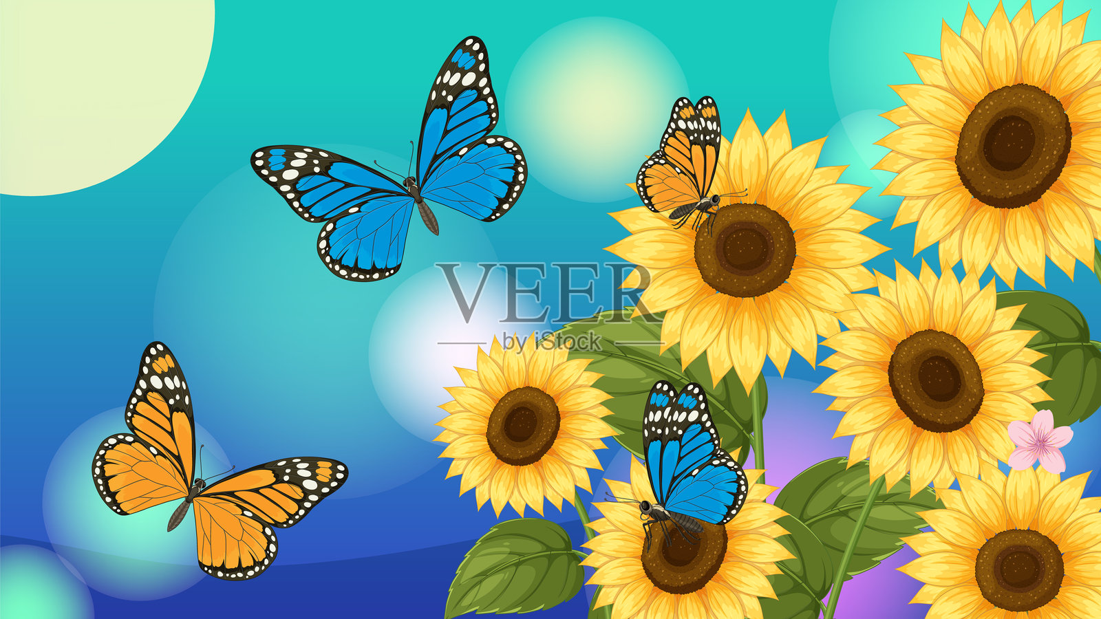 五彩斑斓的蝴蝶在明亮的向日葵周围翩翩起舞。生动的矢量插图，背景渐变，构图细致。插画图片素材