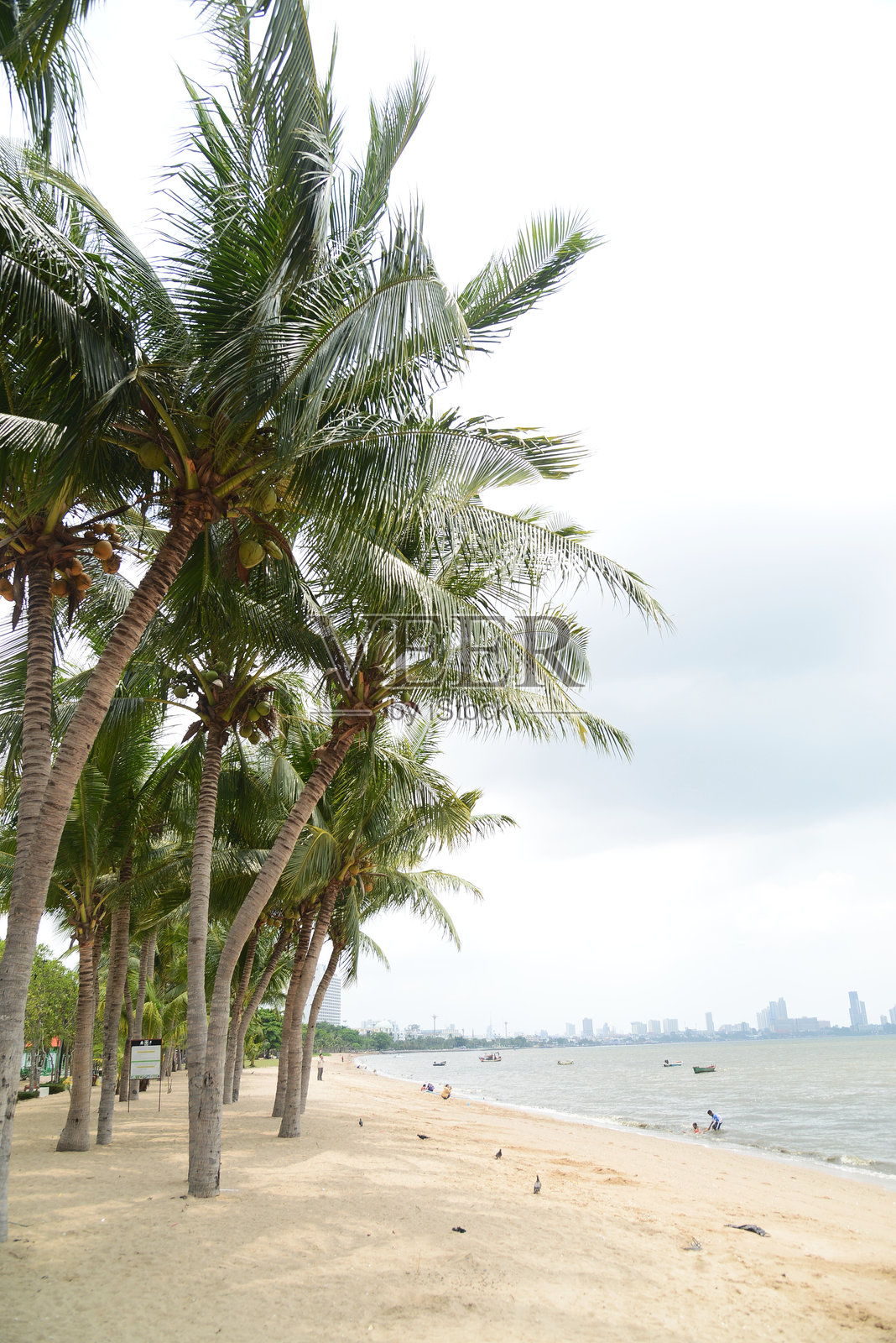 克拉廷莱海滩，一个适合放松的美丽海滩。这个海滩目的地拥有洁白的沙滩。海滩区域被椰子树遮荫。沙滩本身干净，适合游泳。照片摄影图片